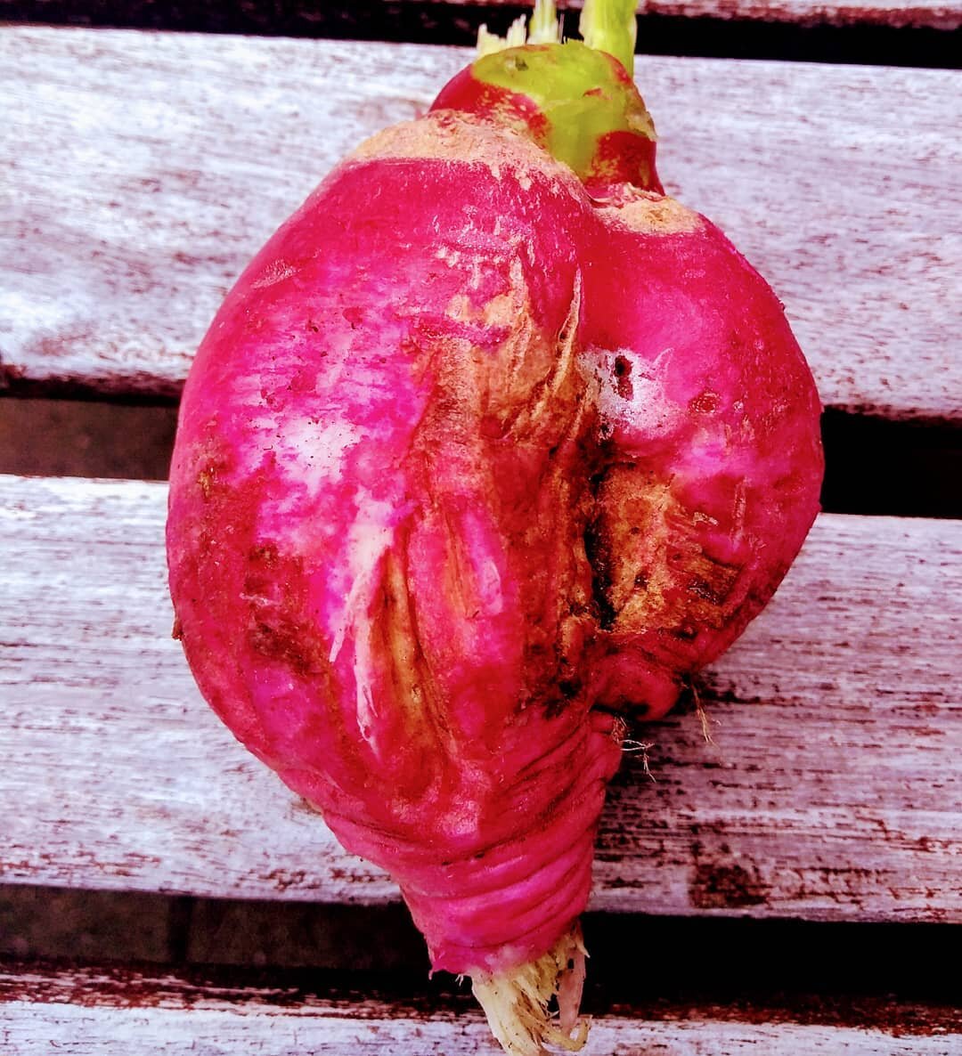 beet heart.jpeg