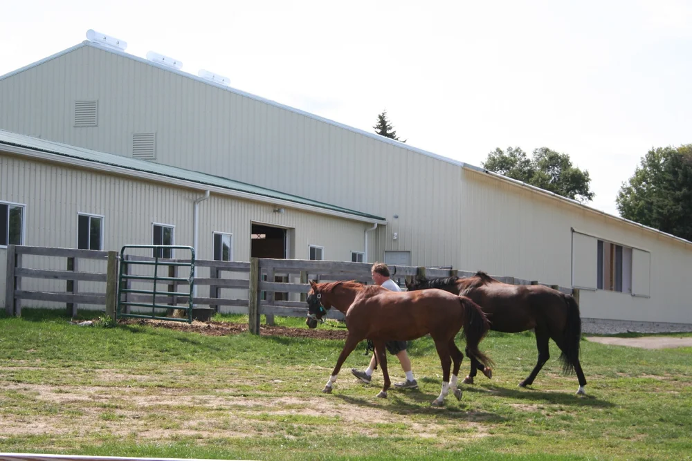 Boarding — Matador Farm