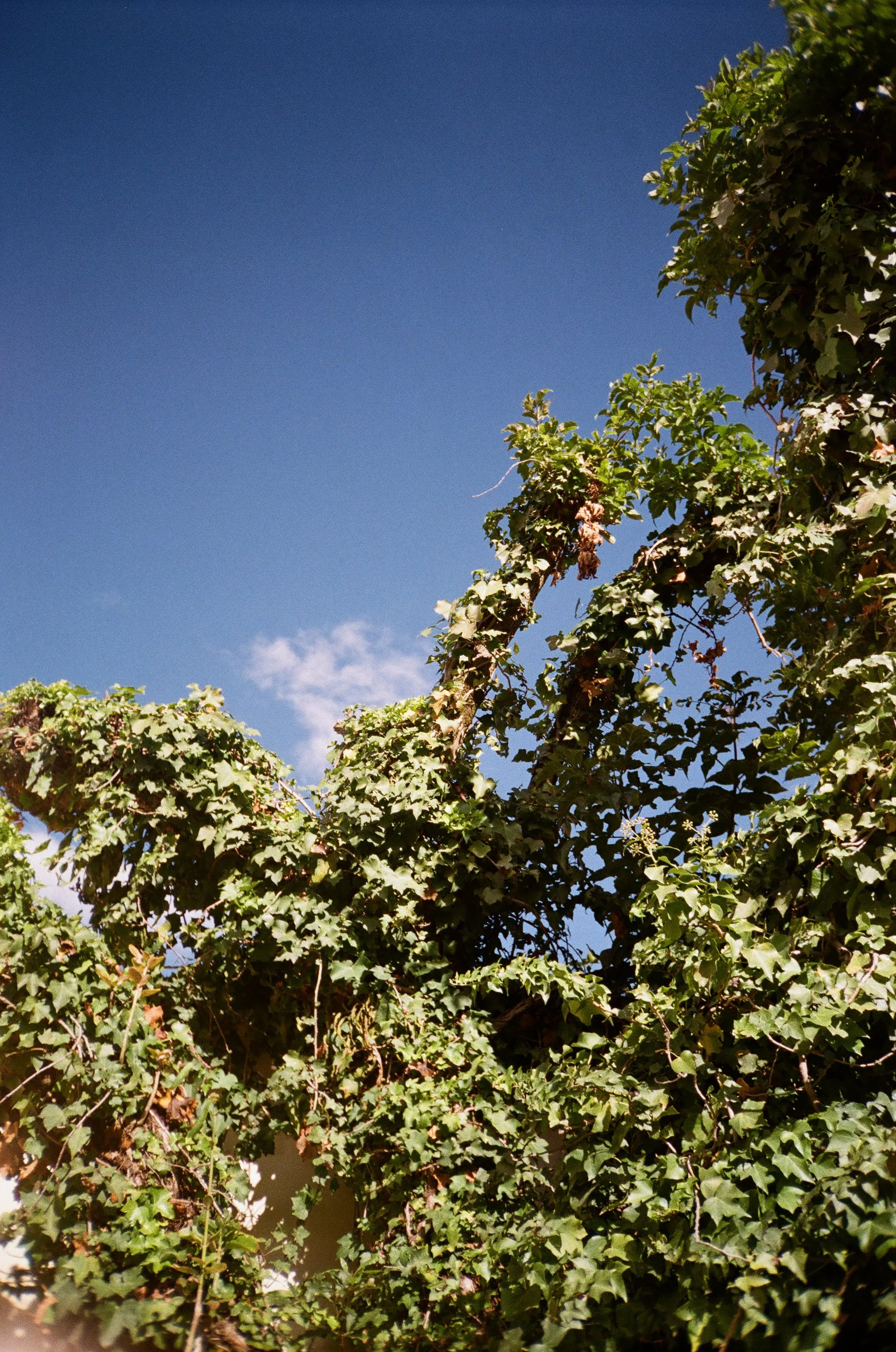 IziMerk __ 09.2022-22.jpg