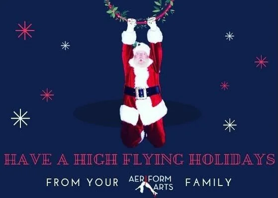 Happy Holidays to all our Aeriformies!