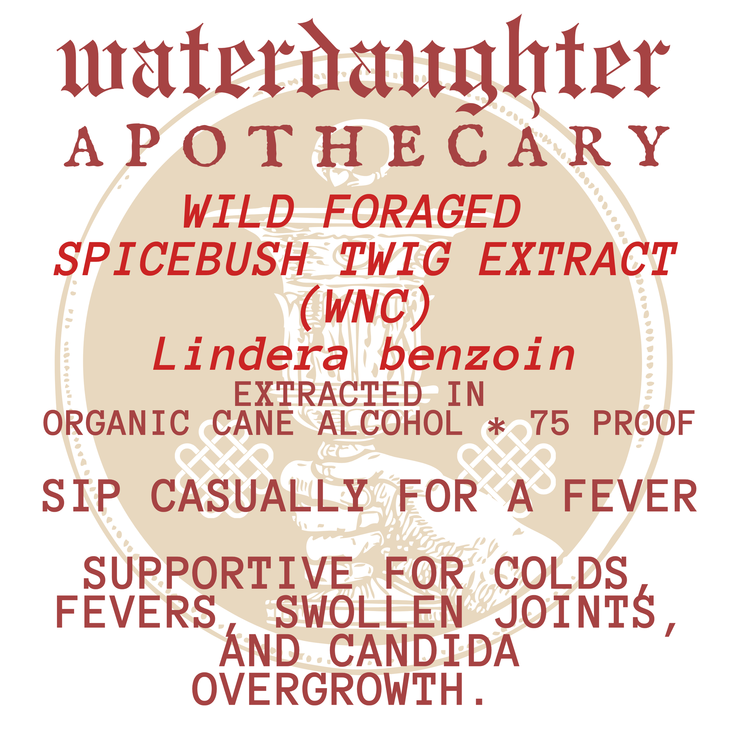 spice bush 2 .png