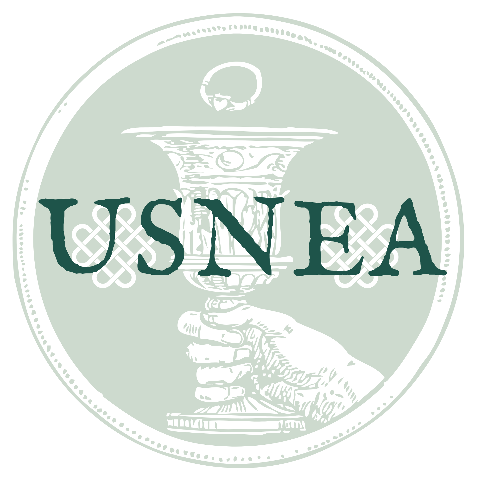 Usnea tincture - 1 oz