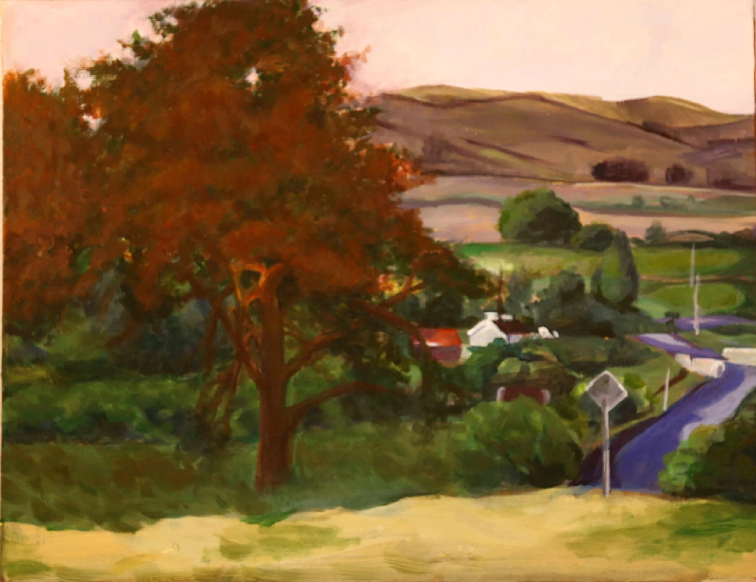 Creative Landscape