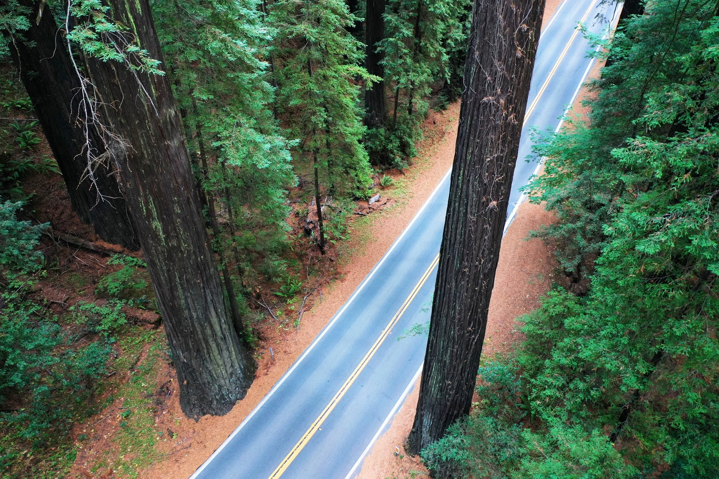 DJI_0435.JPG