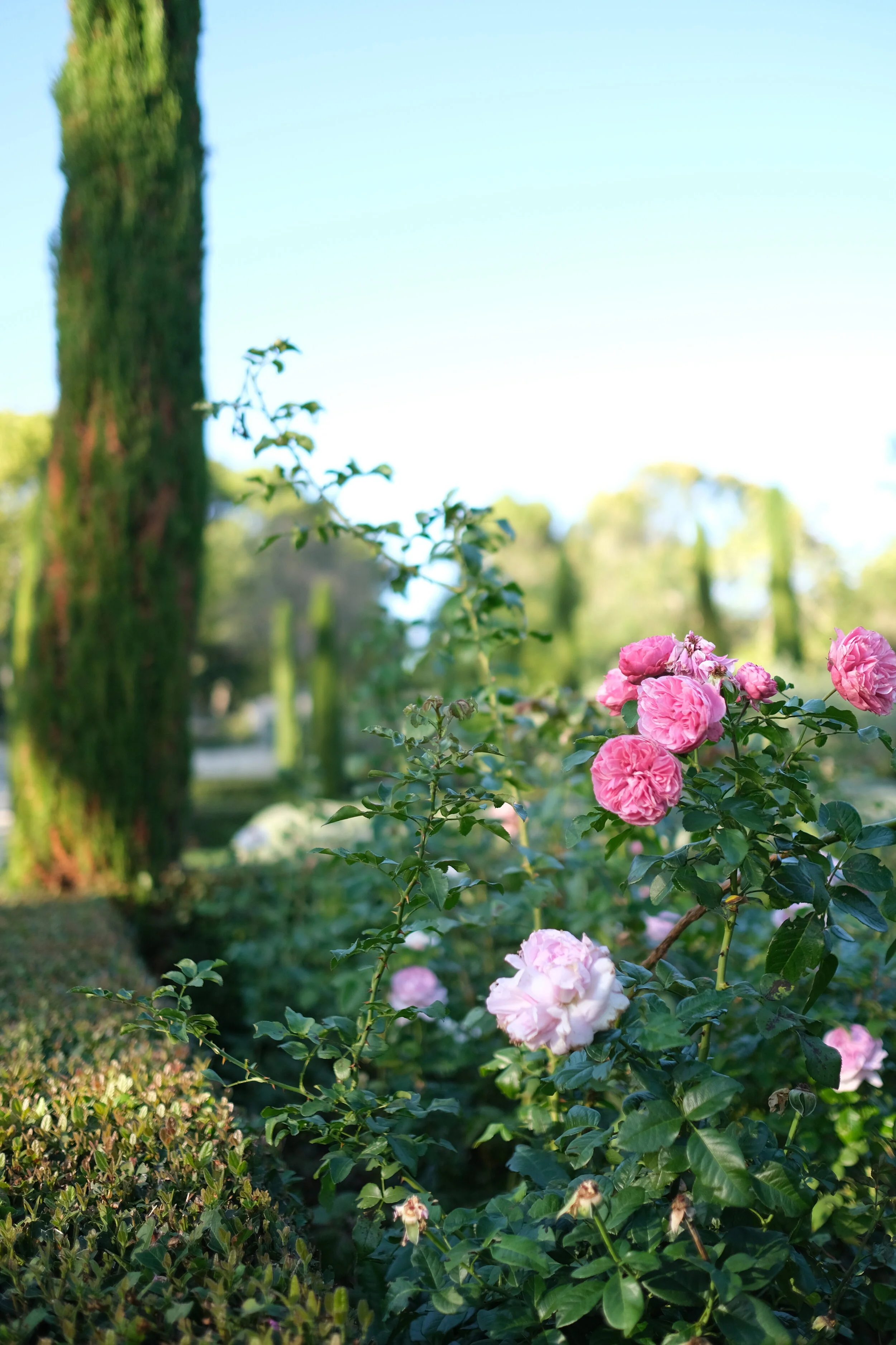 DSCF6988.JPG