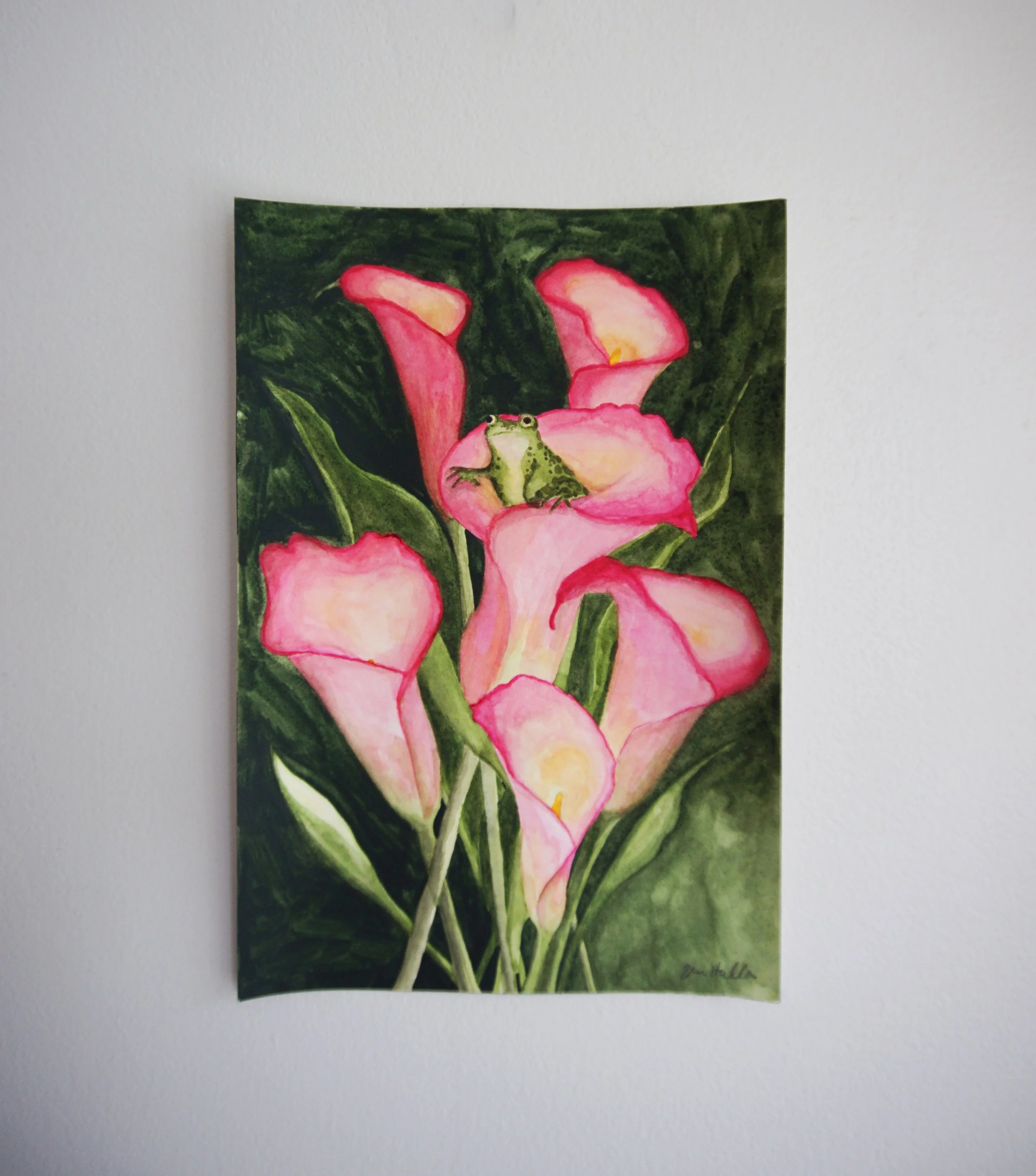 Frog Bouquet Staged 4.jpg