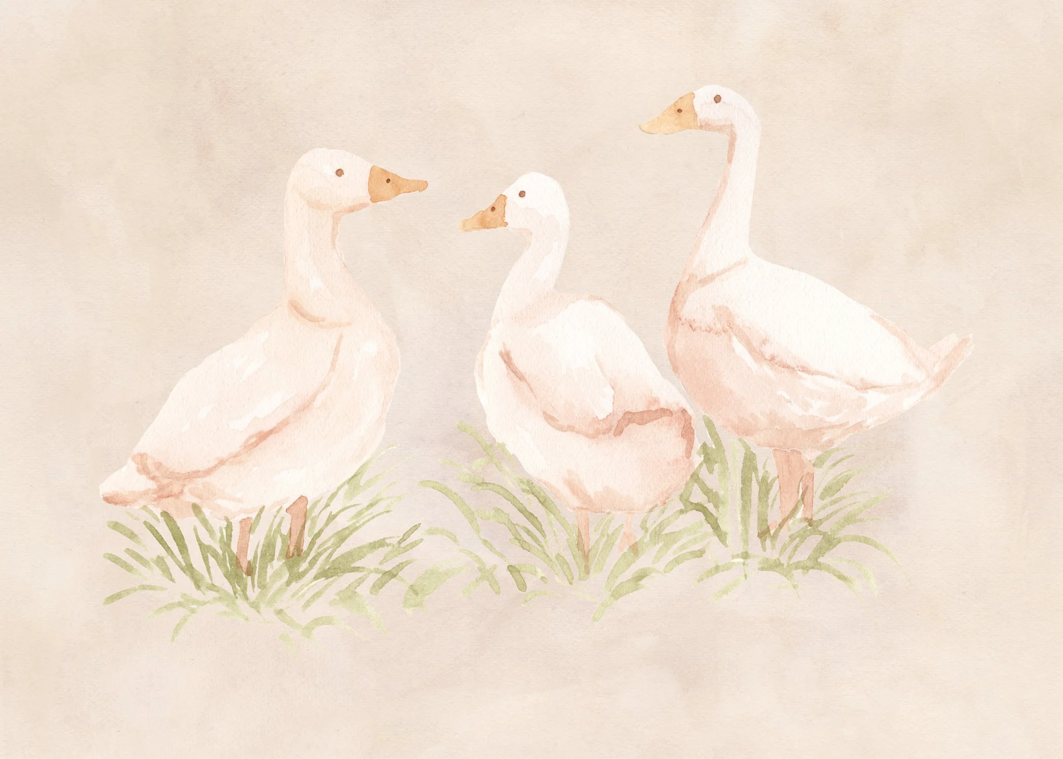 Three Ducks sm.jpg
