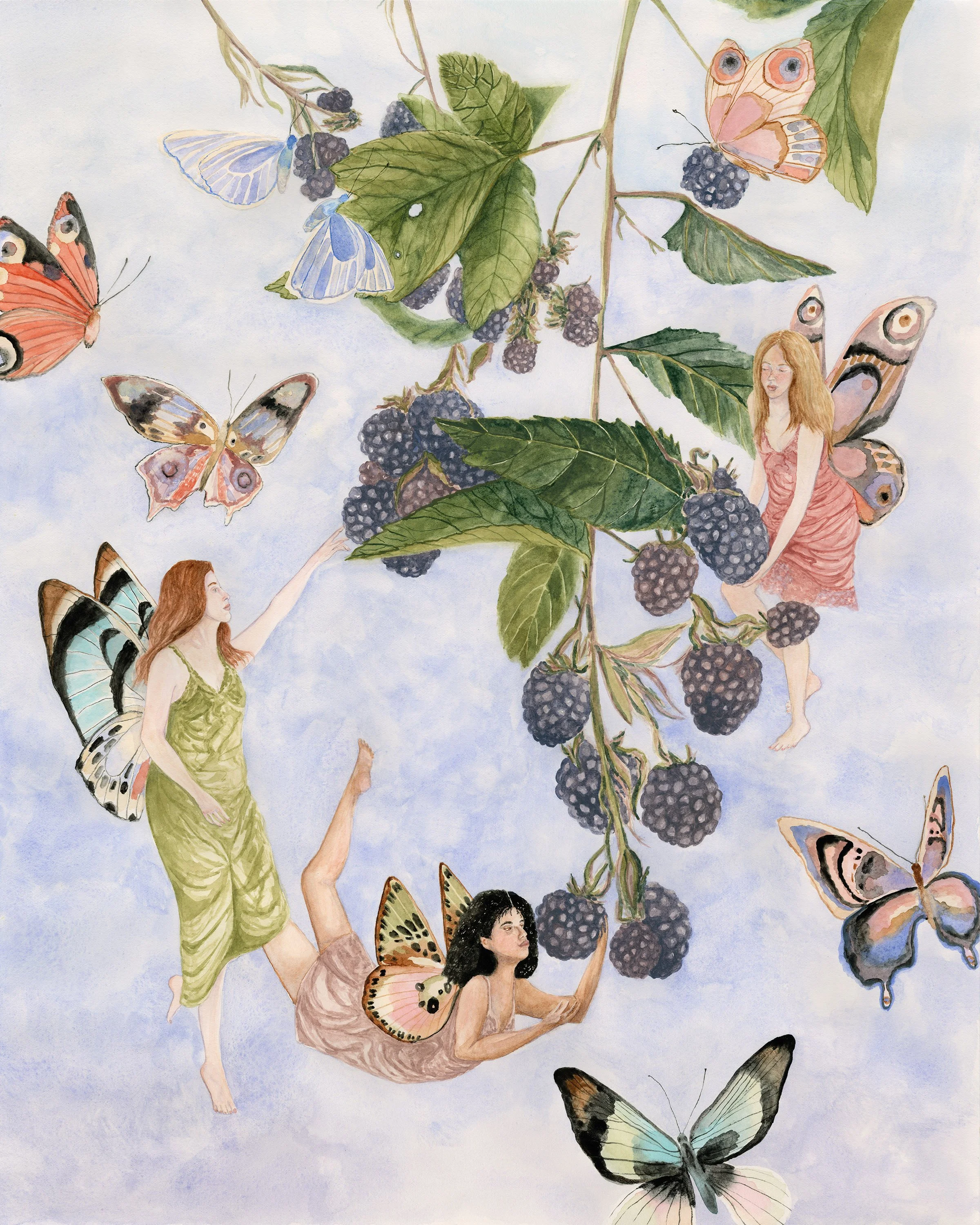 Blackberry Fairies sm.jpg