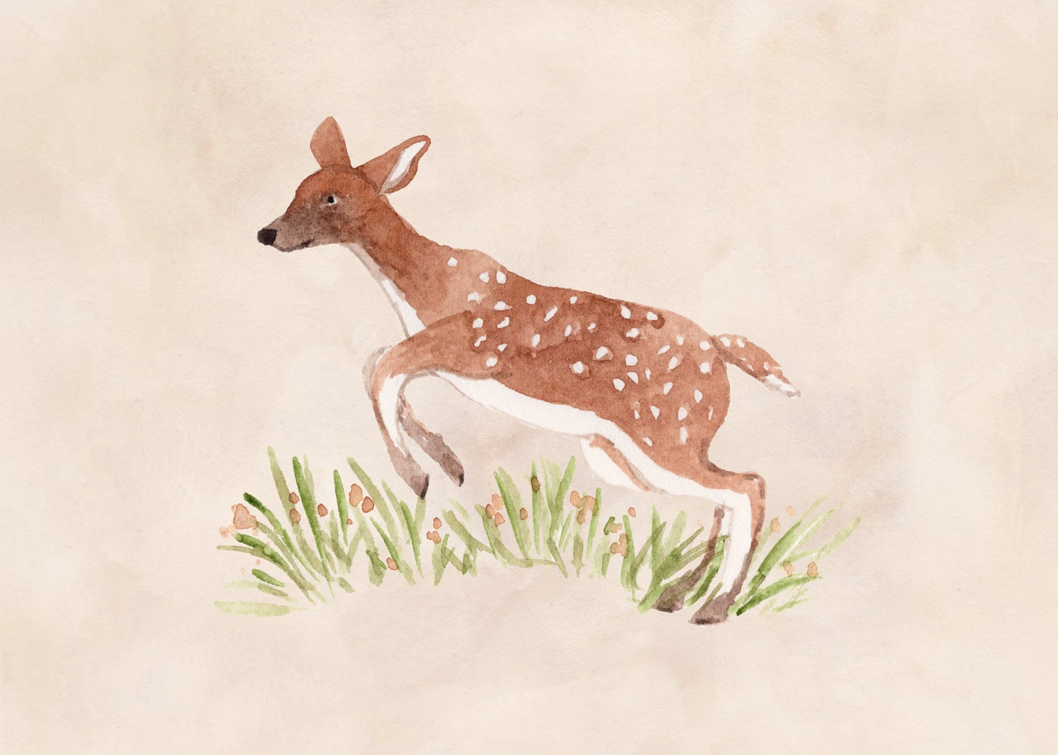 Jumping Deer sm.jpg