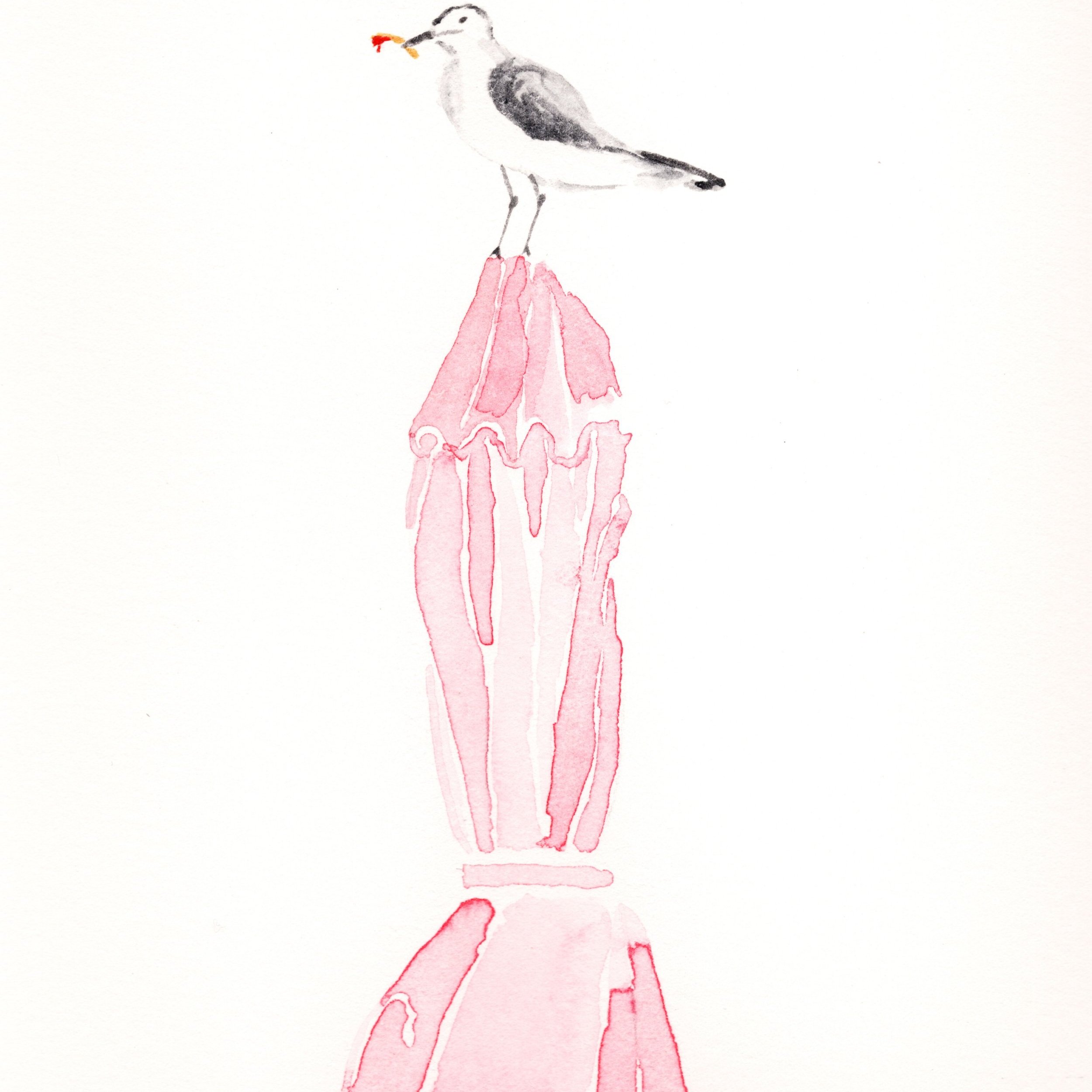 seagull+copy.jpg