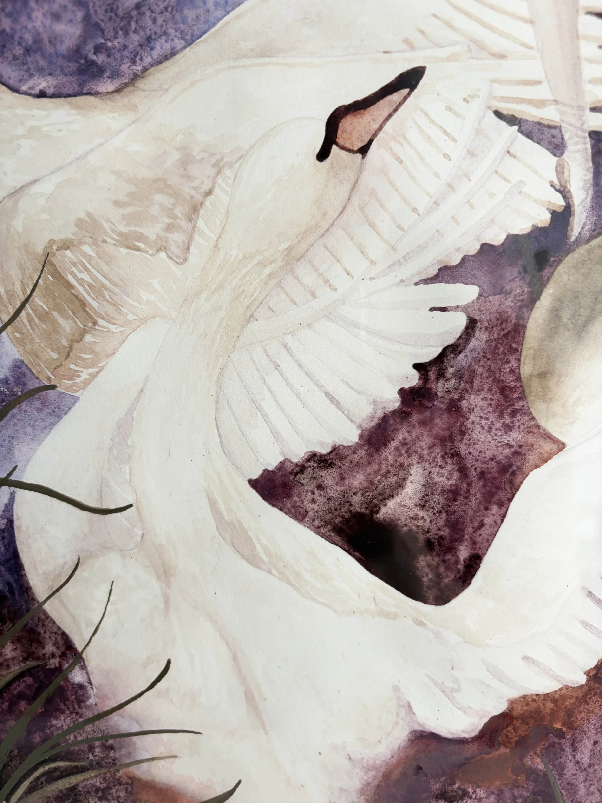 Swan Lake detail 5.jpg