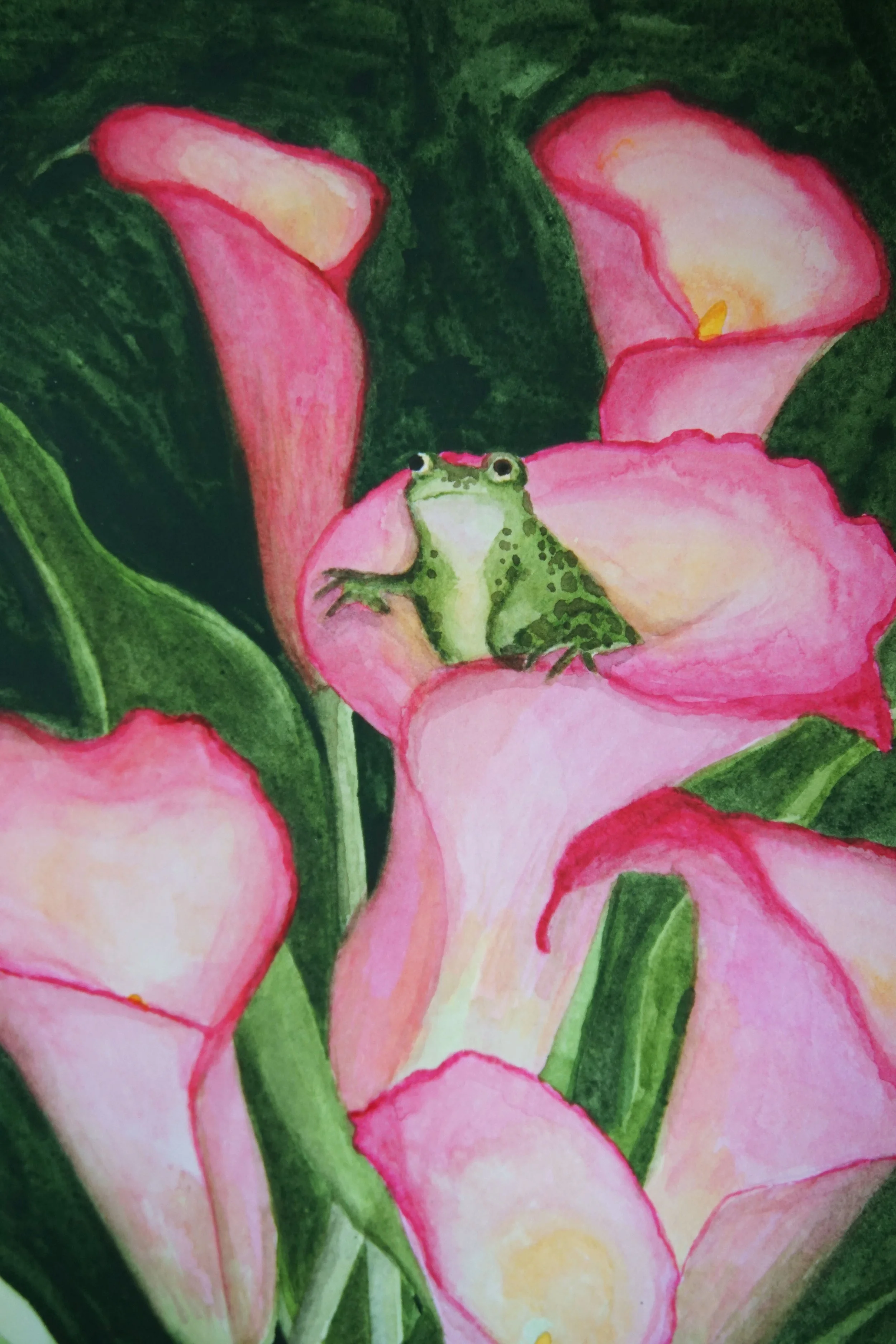 Frog Bouquet Staged 2.jpg