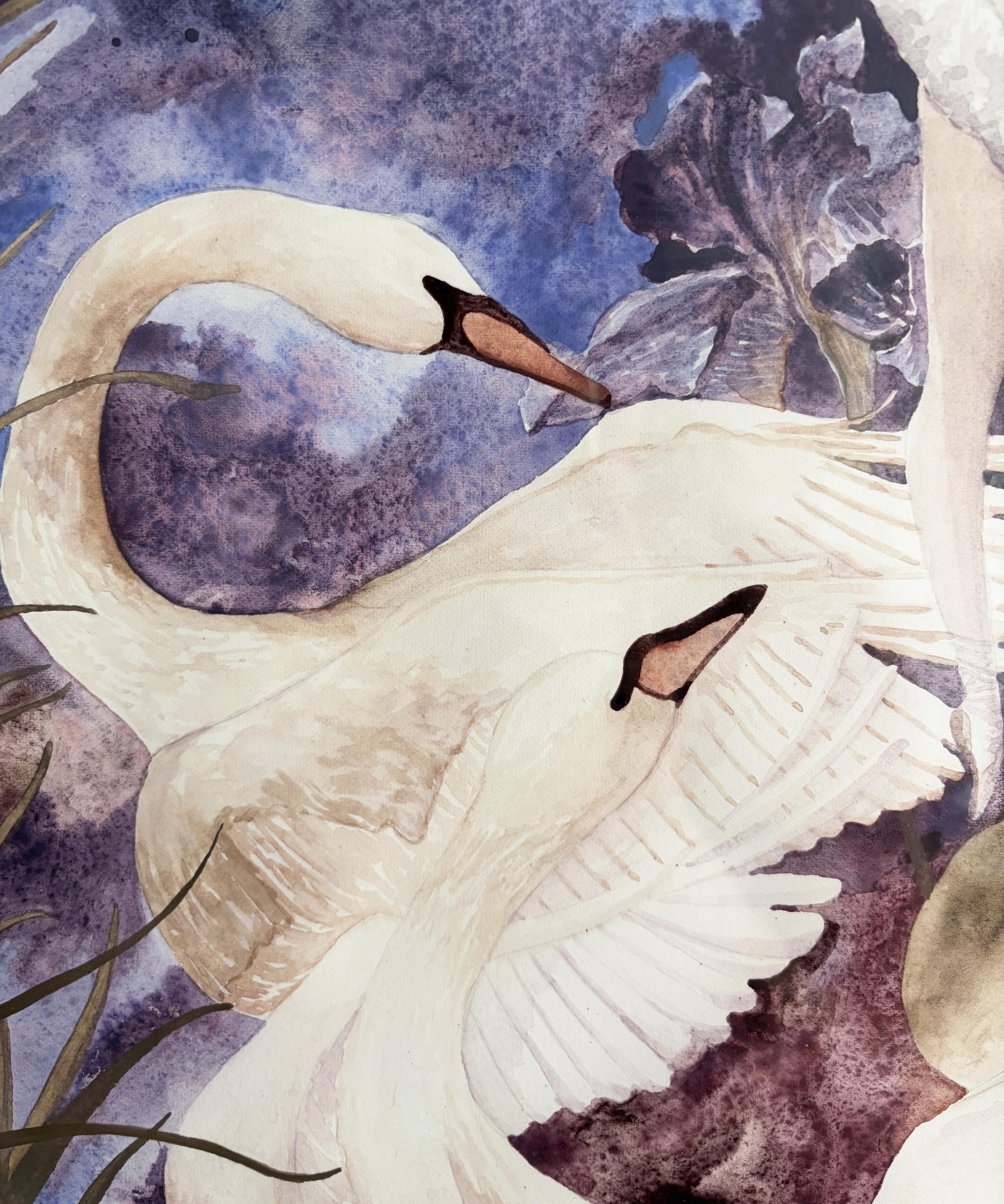 Swan Lake detail 6.jpg