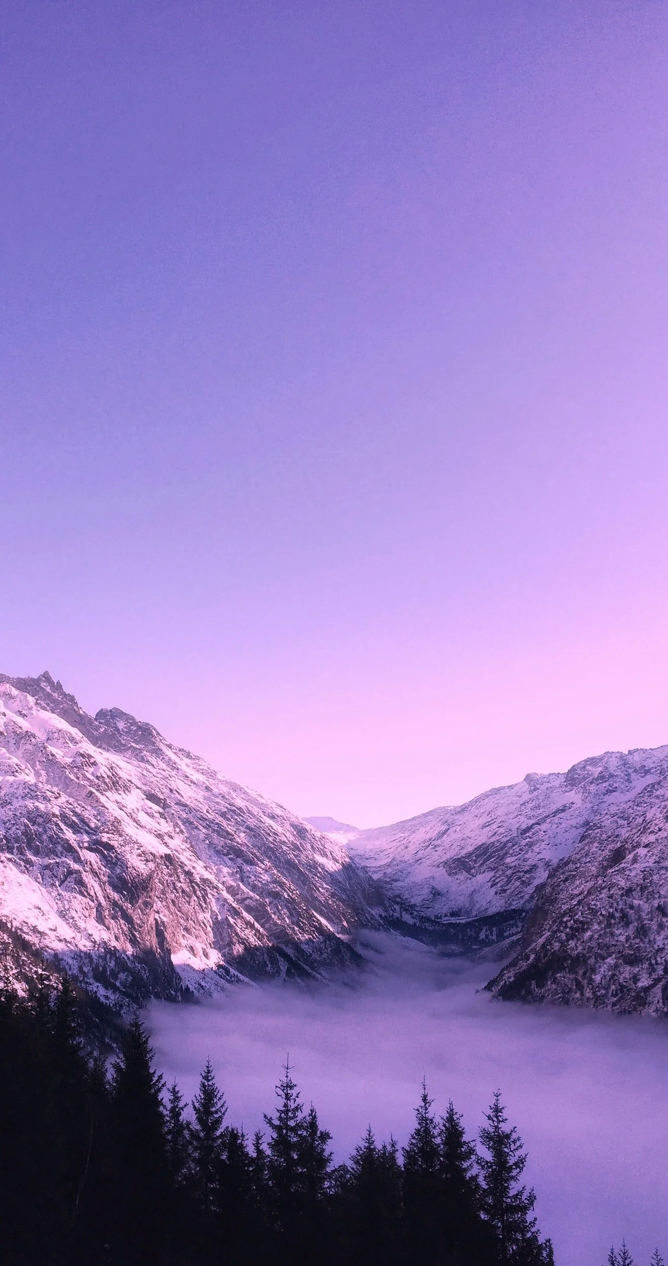 unsplash-image-r8AFUpRp0J0.jpg