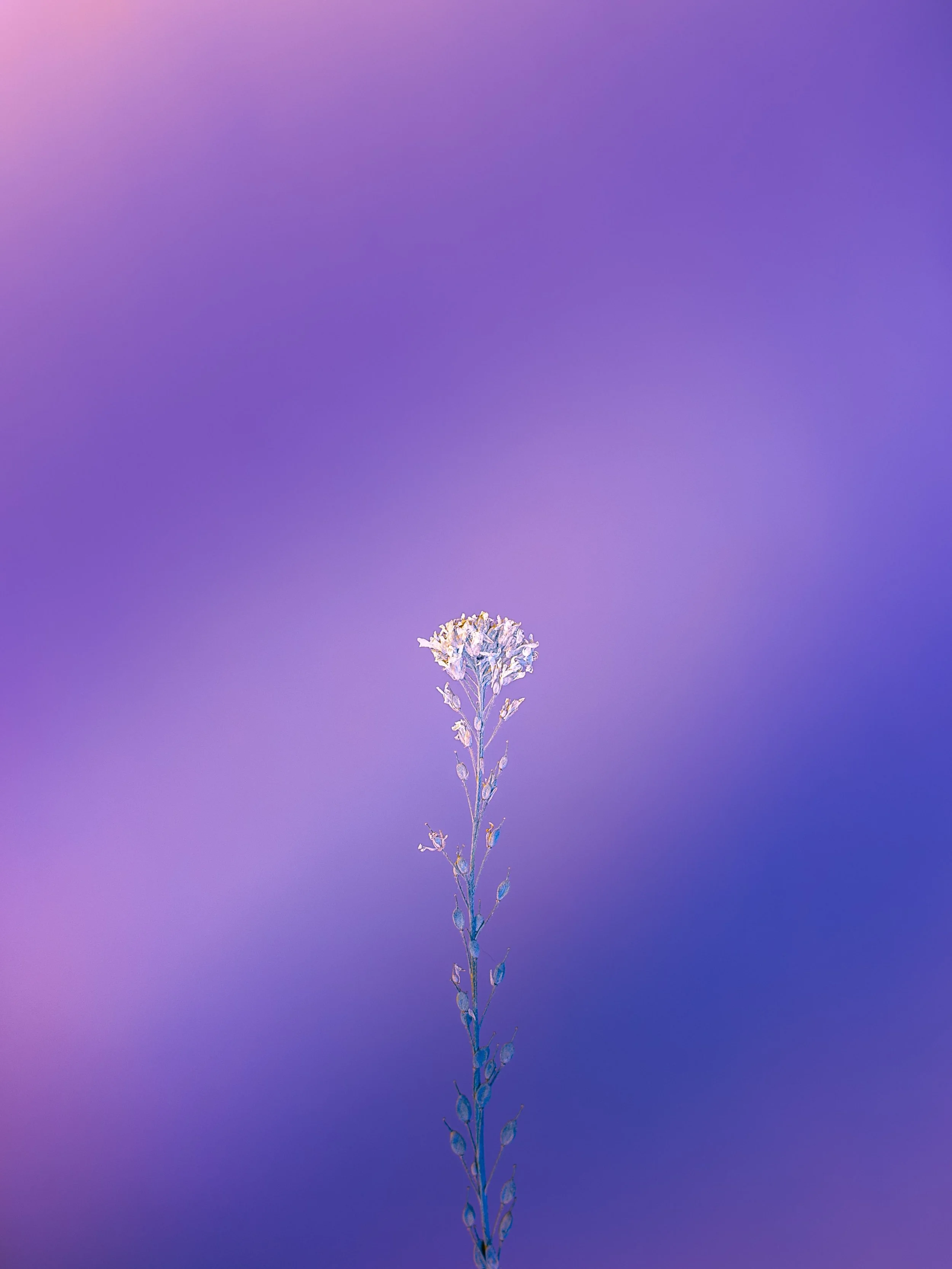marek-piwnicki-dqx3HQDrXuw-unsplash.jpg