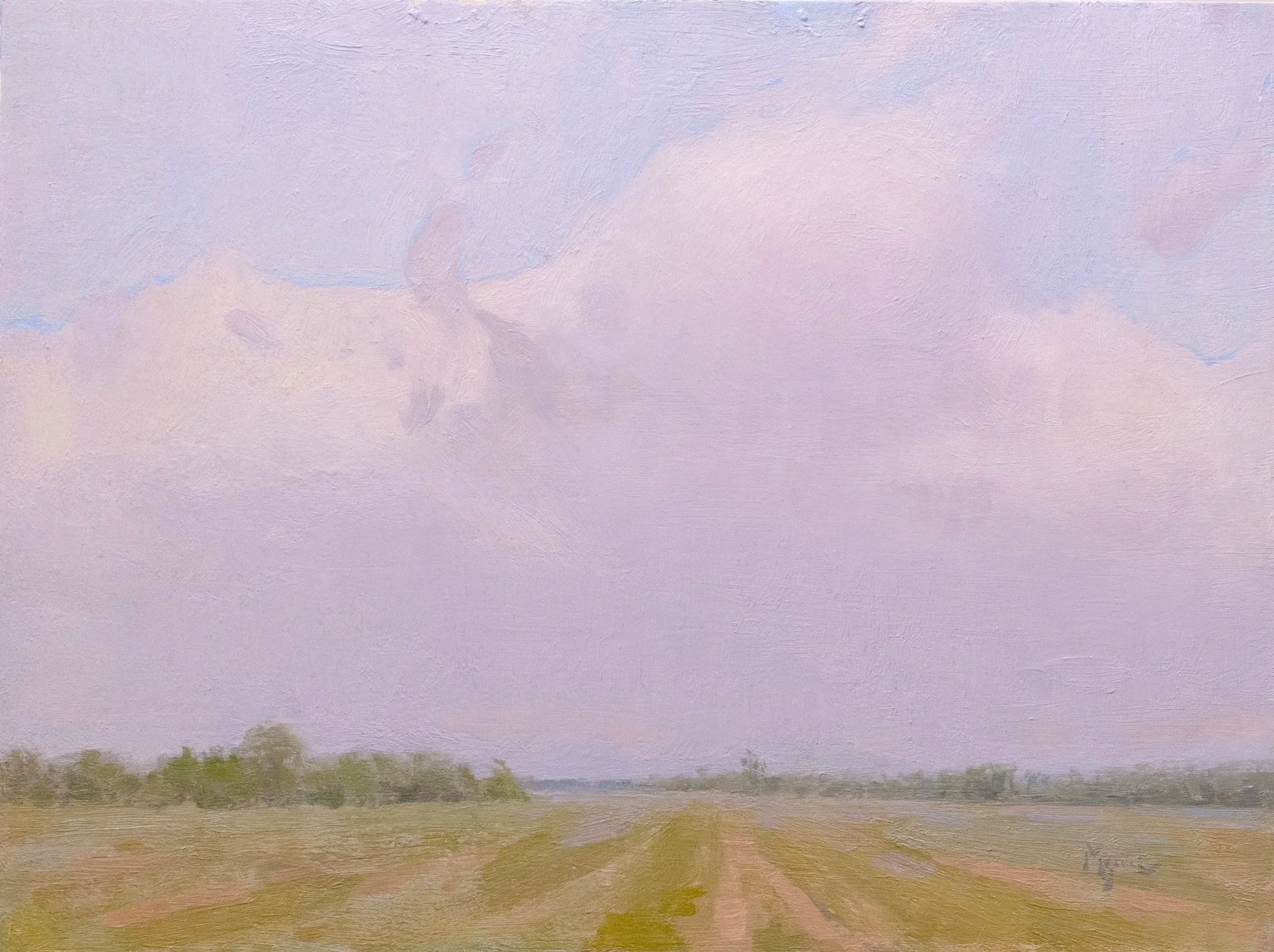 Dormant Fields