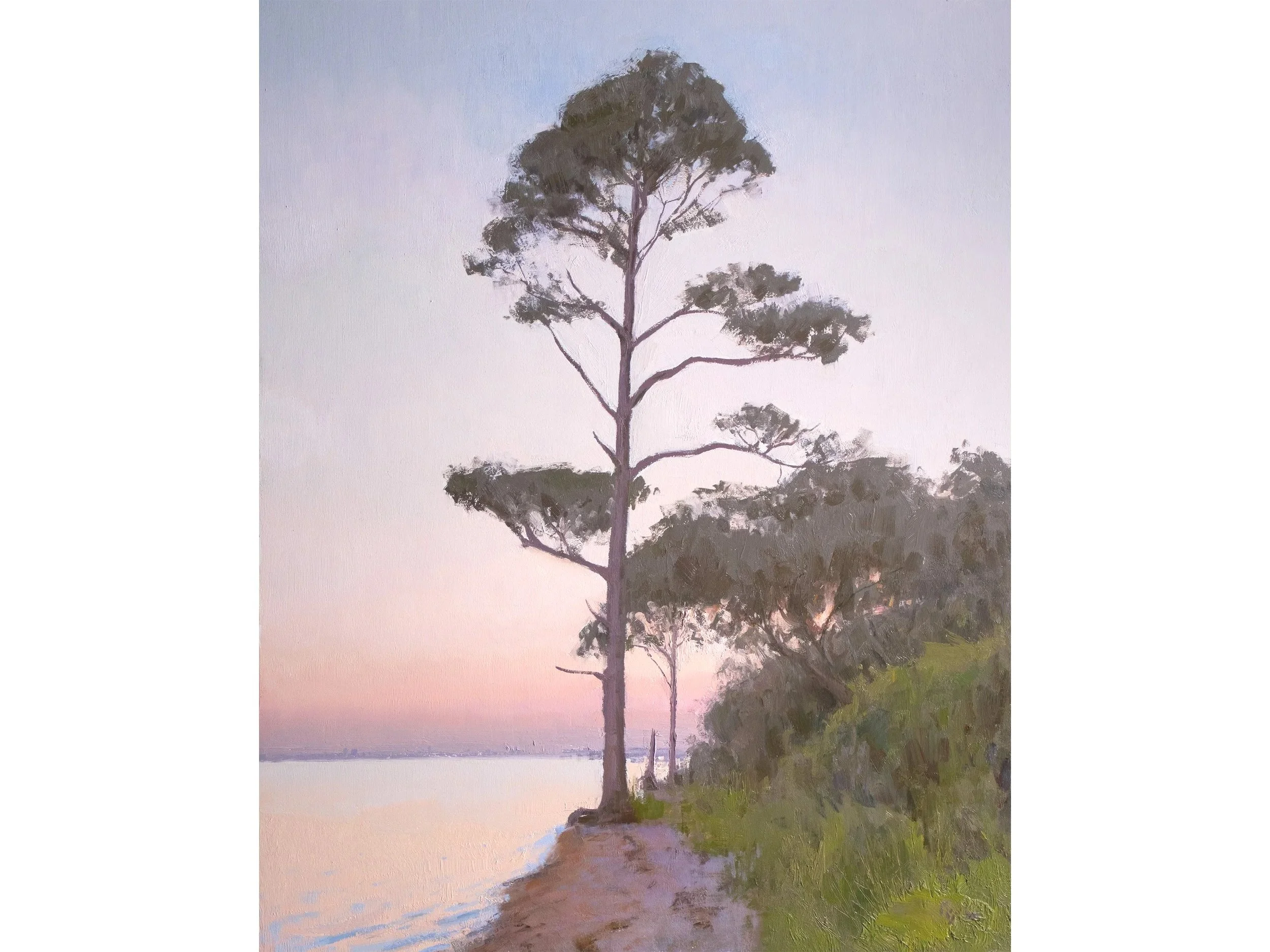Evening on the Sound