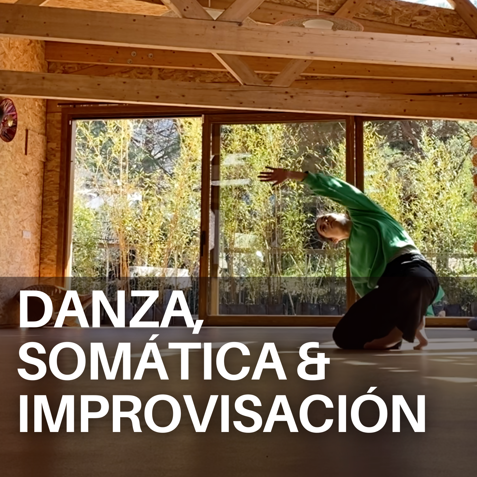 DANZA Y SOMÁTICA