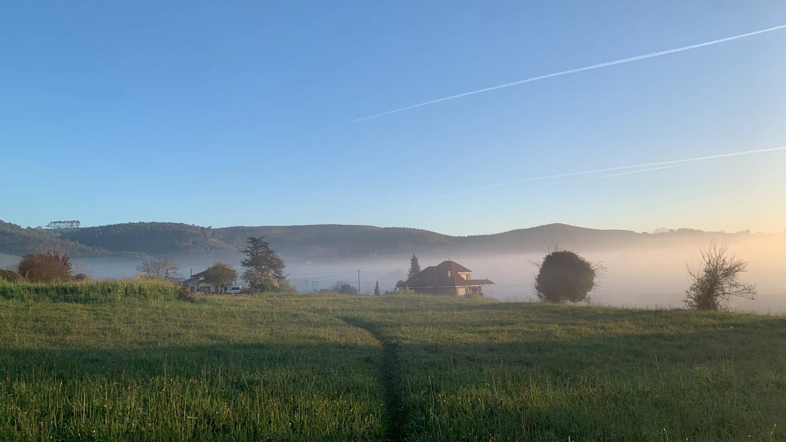 ED8D53B3-2D49-47E7-AEF9-7314C9A223BC.JPG