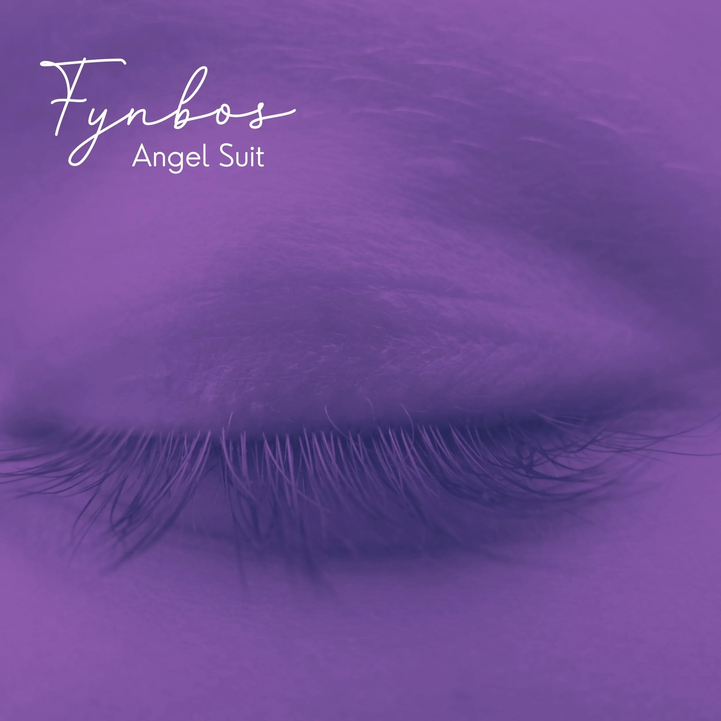 AngelSuitFynbos.jpg