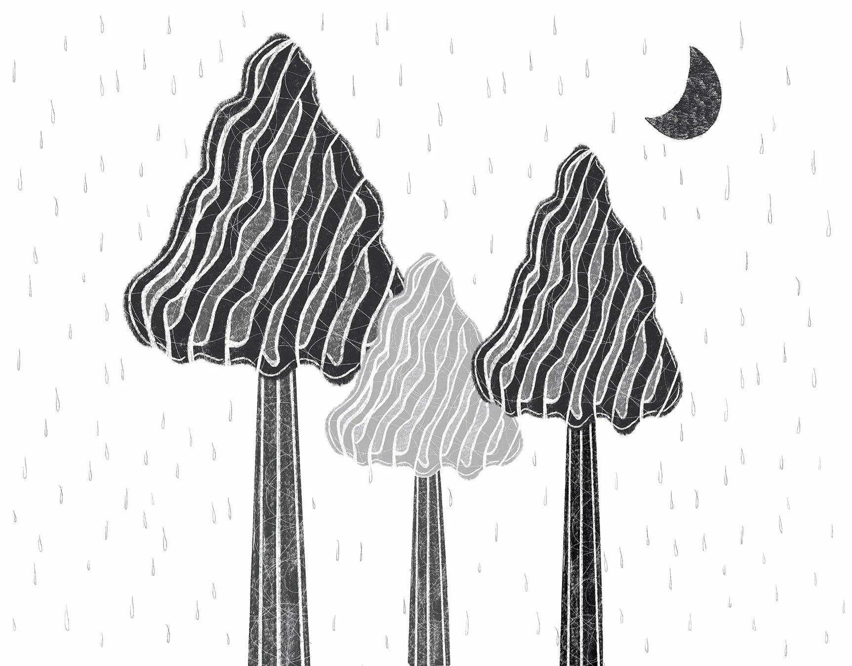 A2 Moonlit shadows.jpg