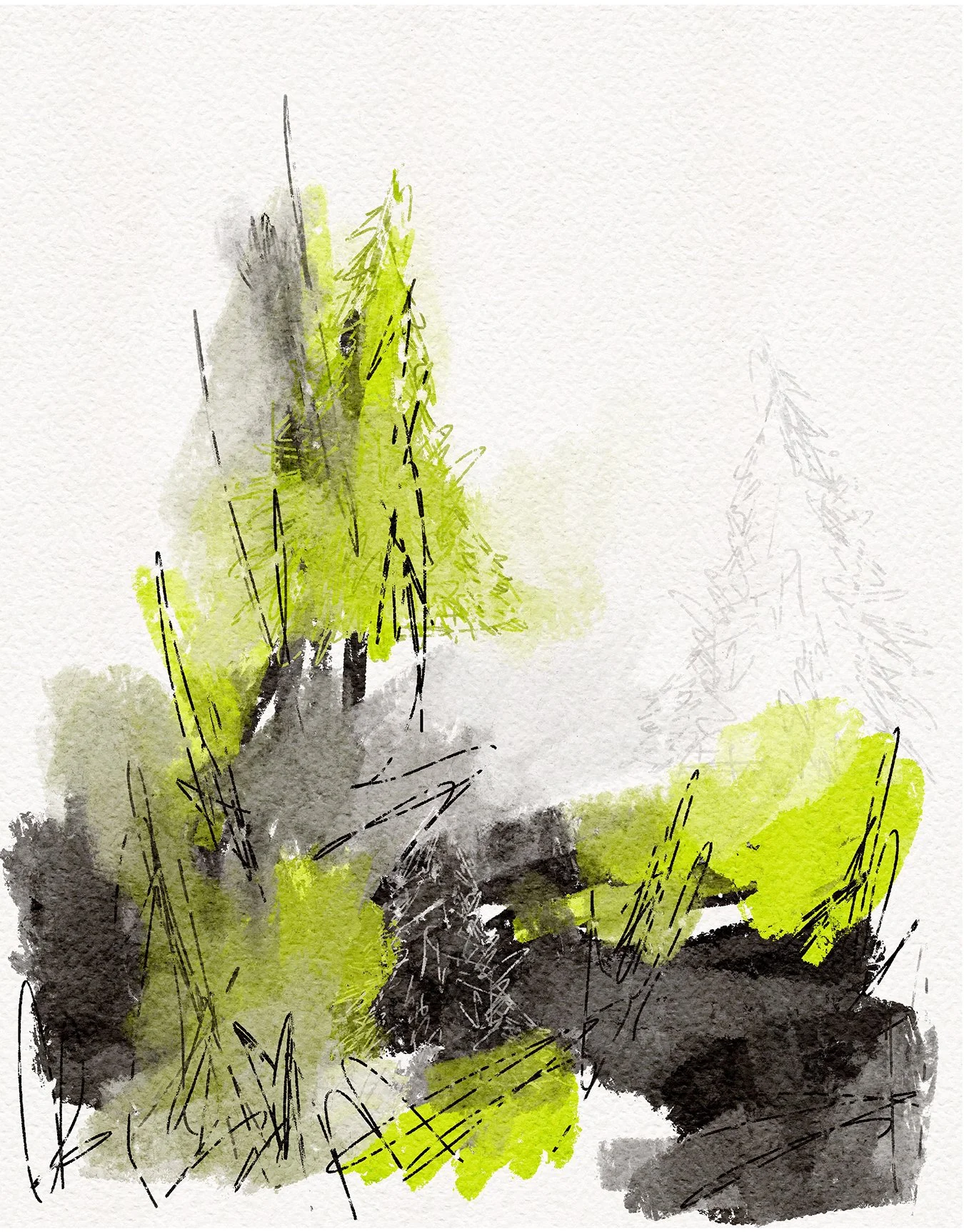 A2 Trees Emerge .jpg