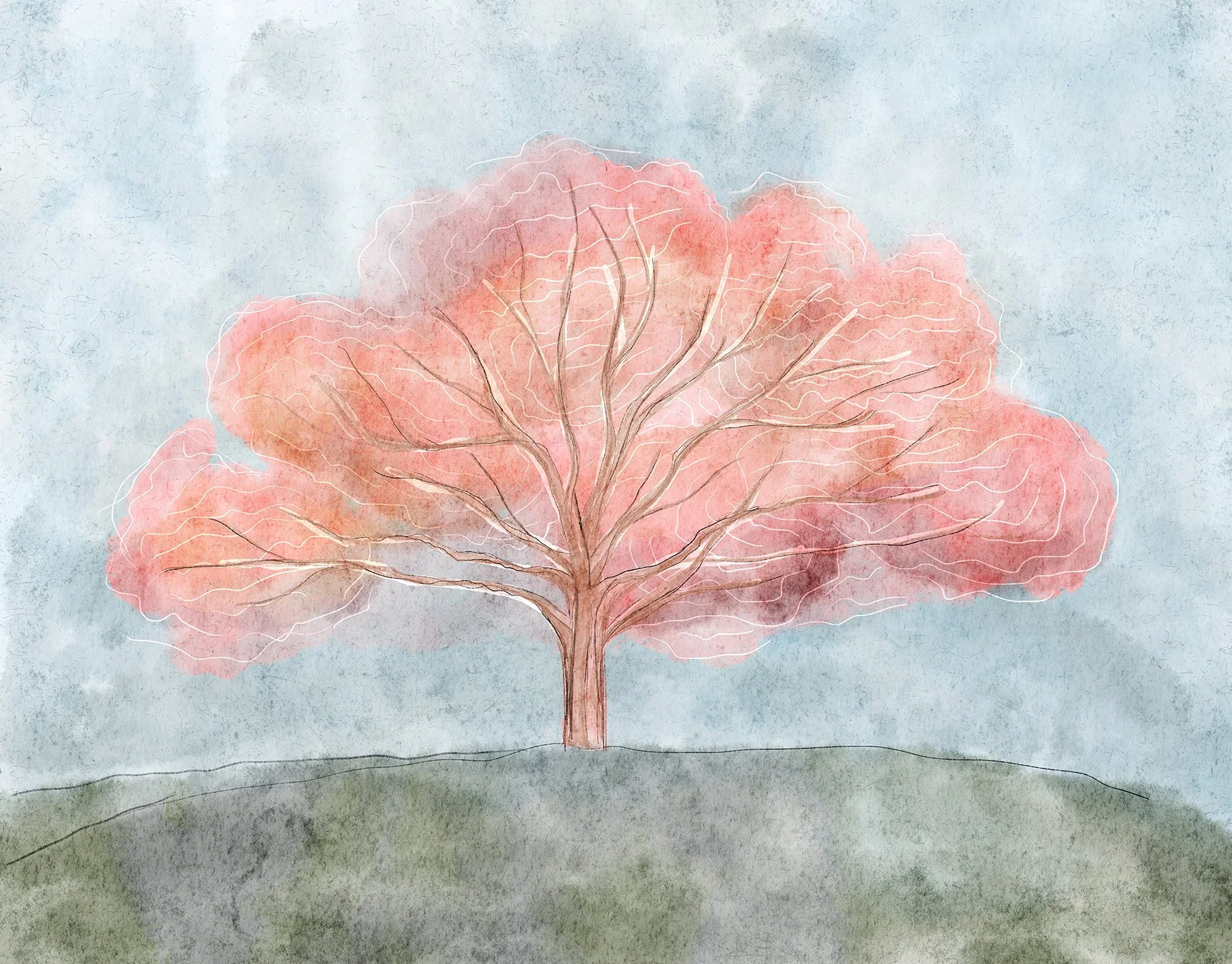 A2 11x14 Cherry Blossom FINAL.jpg