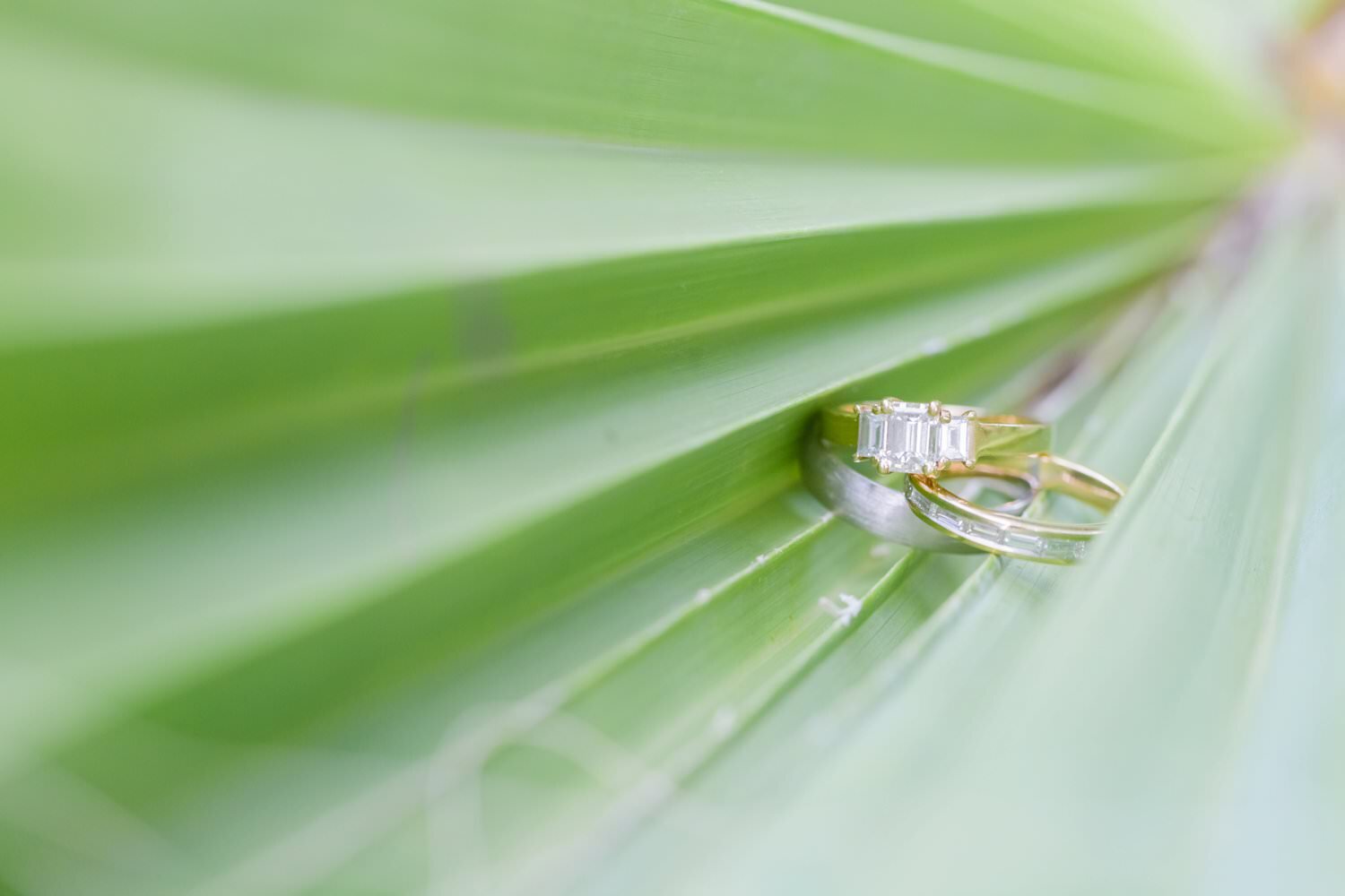 Rena.Richard.Elopement.MonocleProject38_photography-palm-springs-LA-OC-SD-modern-photographer.jpg