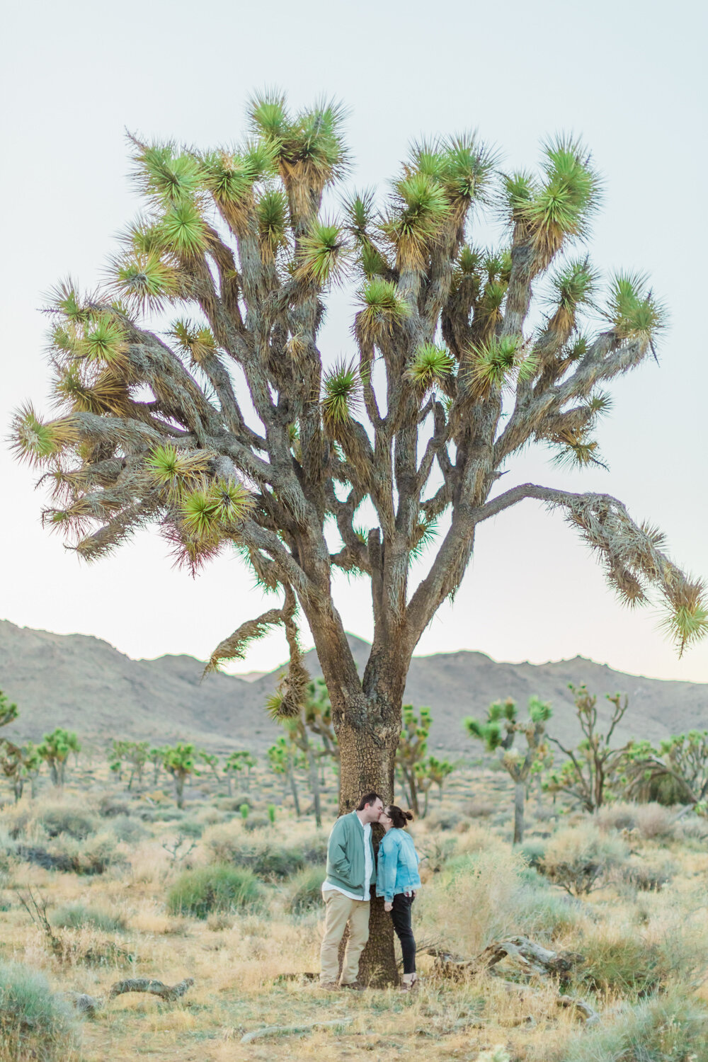 engagement.joshua.tree.wedding.bride.groom.boyfriend.girlfriend.destonation.travel.best.photographer.photography..monocle.project-22.jpg