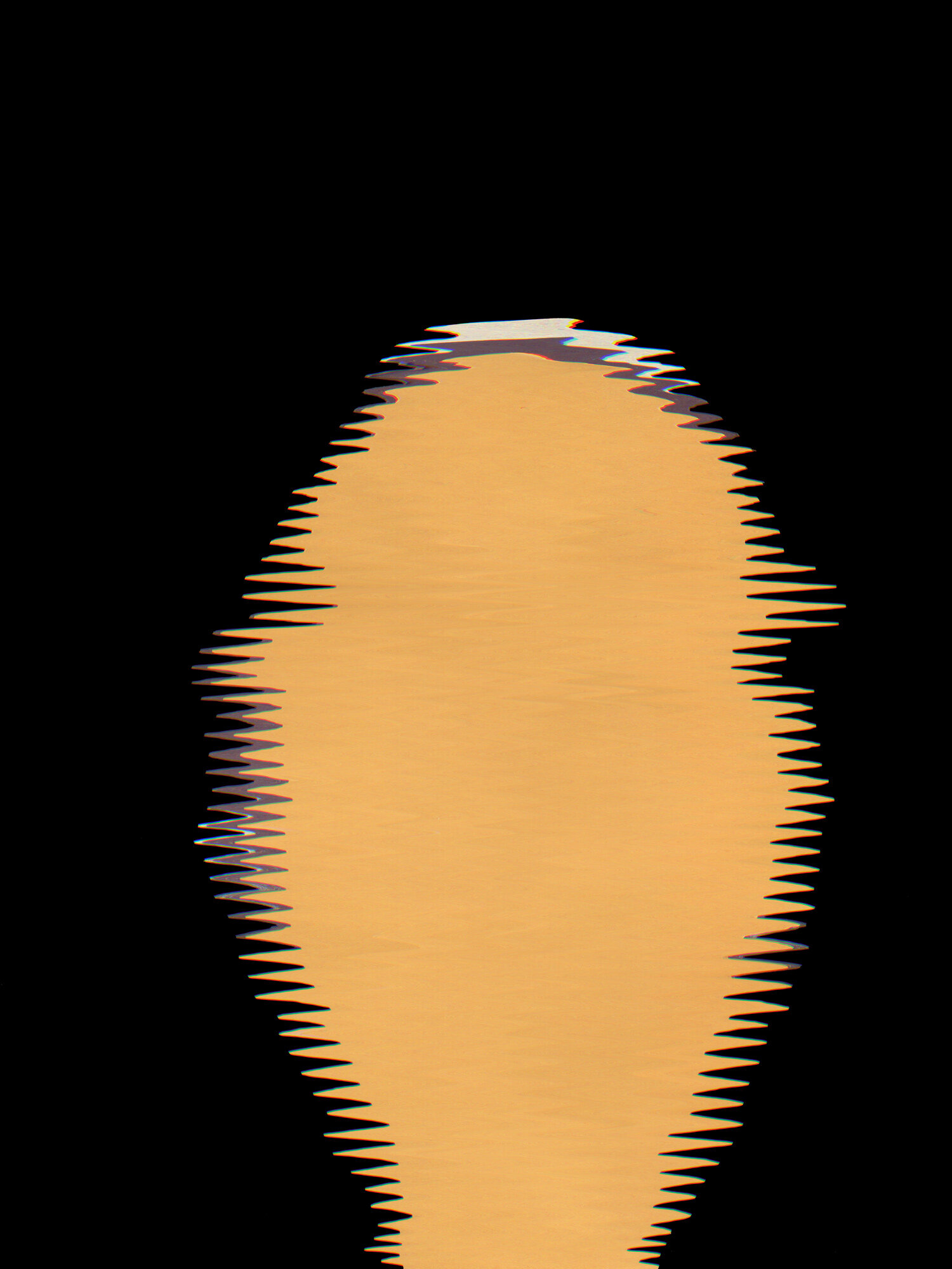   Goldenhead   2013, digital print of motion scan 48” x 34” 