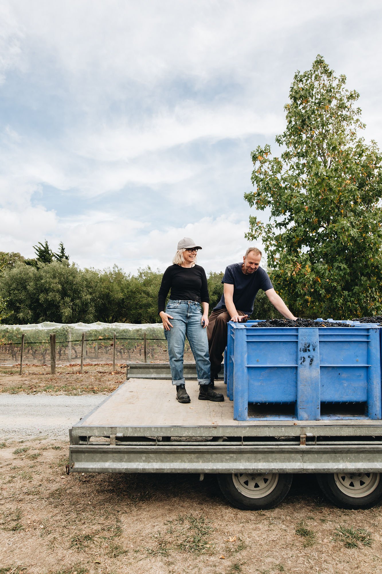 Pinot Noir through the ages