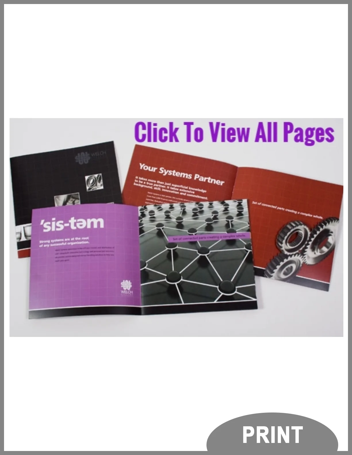 General_Print Brochure-Welch B2B.jpg