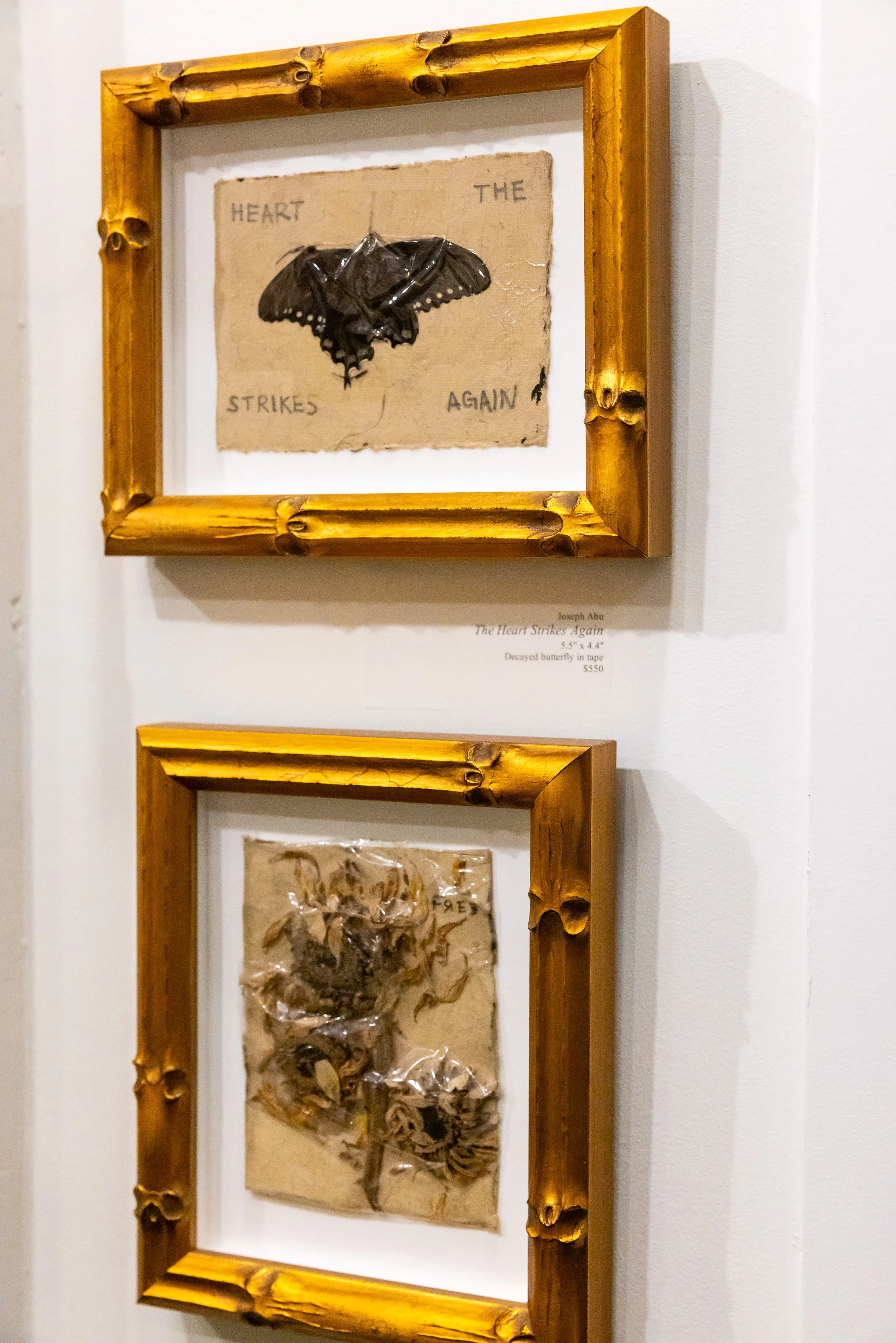 The Heart Strikes Again (2023)
Free Love to Possess (2023)