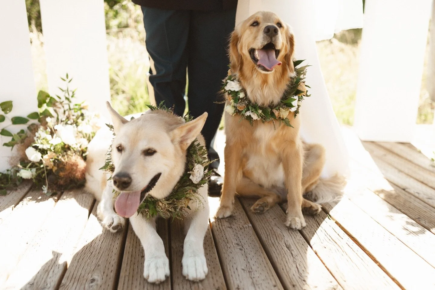 If you&rsquo;re looking a florists who goes above and beyond for you on your big day, it&rsquo;s me🙌

I am your professional hype girl &amp; will make flower magic for you 🤩

I would love to be a part of your day! Inquire today for incredible weddi