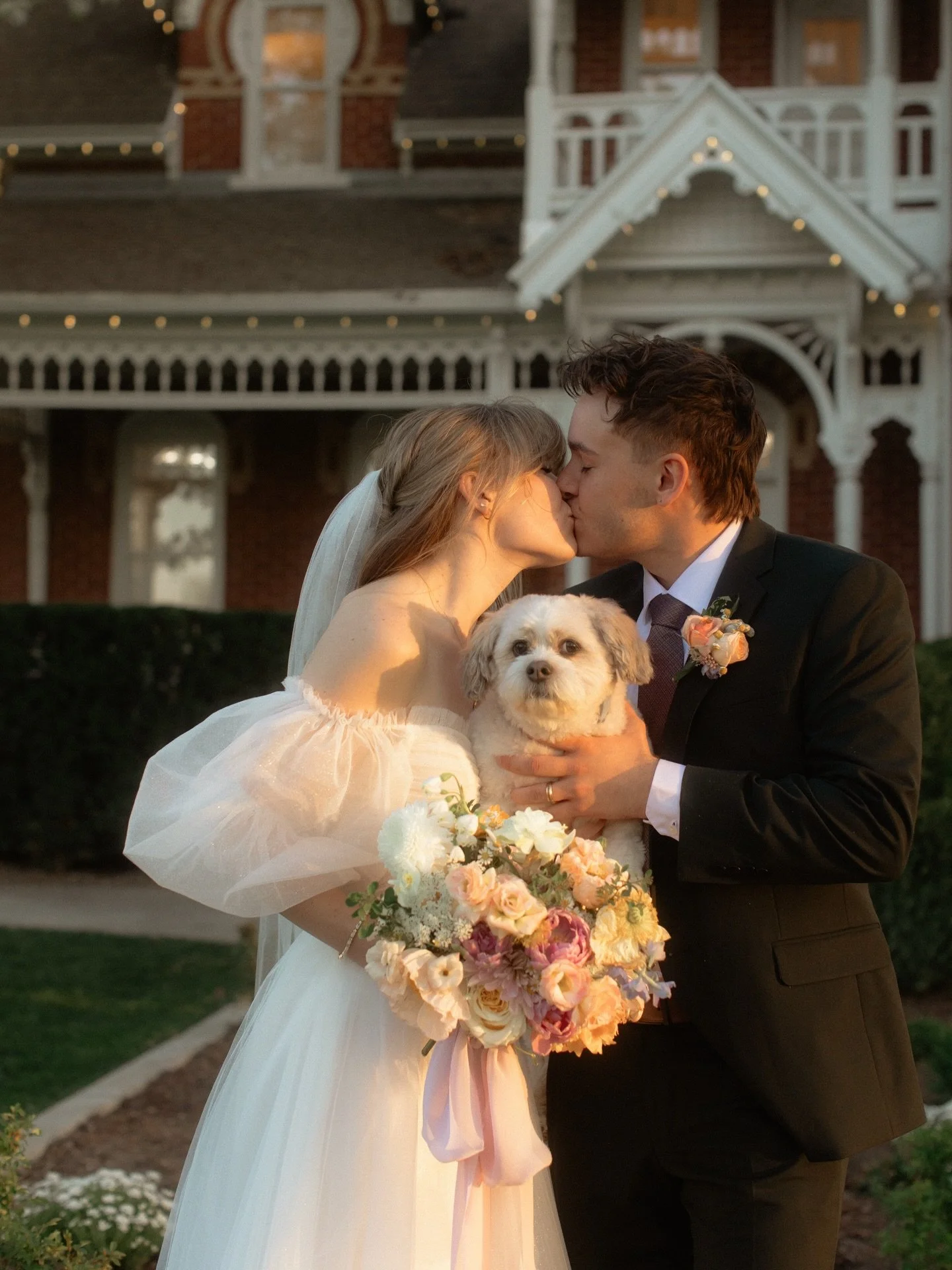 I love all the dogs everywhere 🥹🥰

&bull;&bull;&bull;&bull;&bull;&bull;&bull;&bull;&bull;&bull;&bull;&bull;&bull;&bull;&bull;&bull;&bull;&bull;&bull;&bull;&bull;&bull;&bull;&bull;&bull;&bull;&bull;&bull;

✨How do I care for my bouquet?✨

🌷Trim the