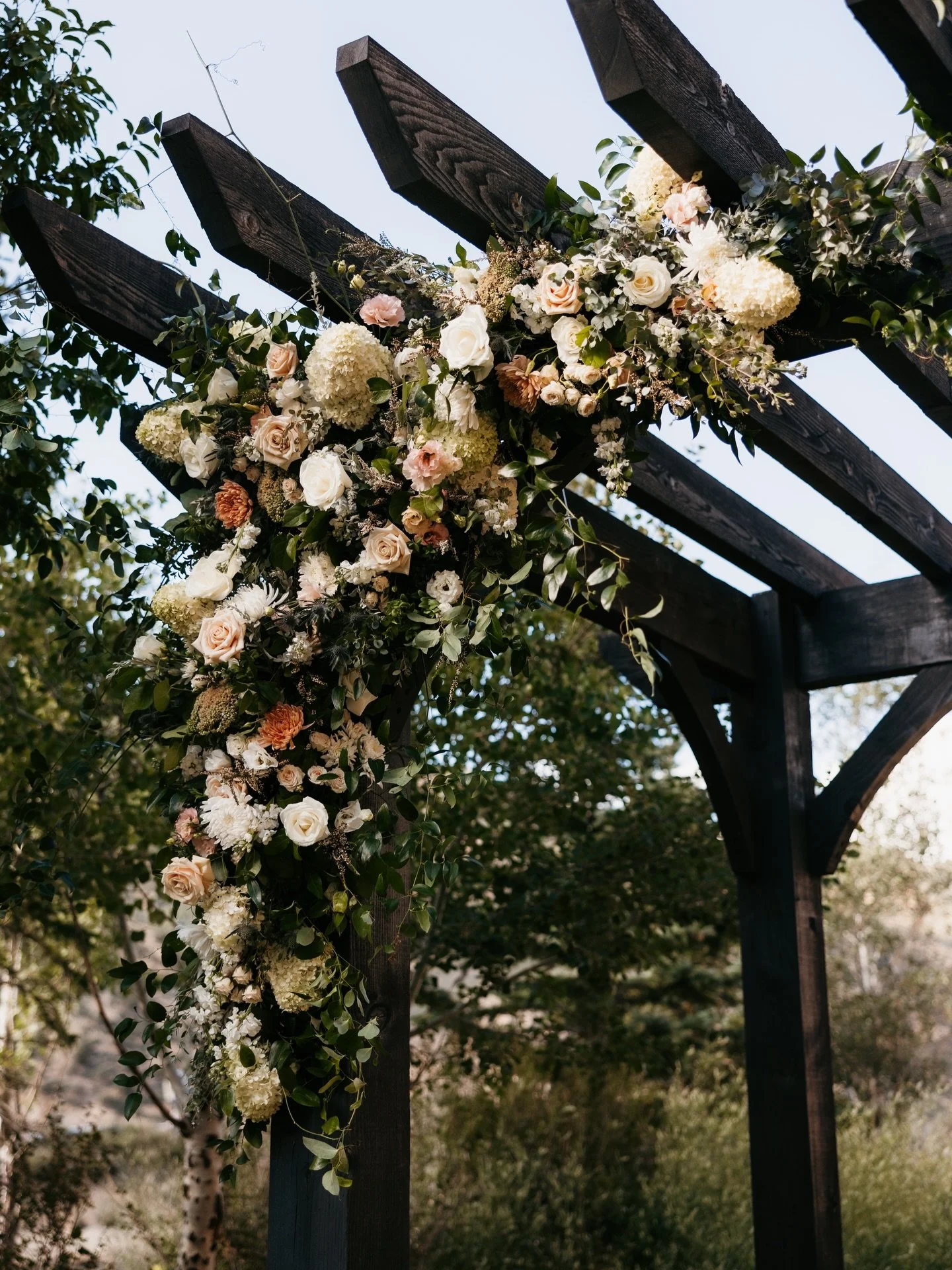 Preserving your Wedding flowers is such a cute way to keep a physical piece of your actual wedding day! 

✨And lucky for you! When you book with us, we will provide you with discount codes from several preservationist.✨
 
What are the best ways to pr