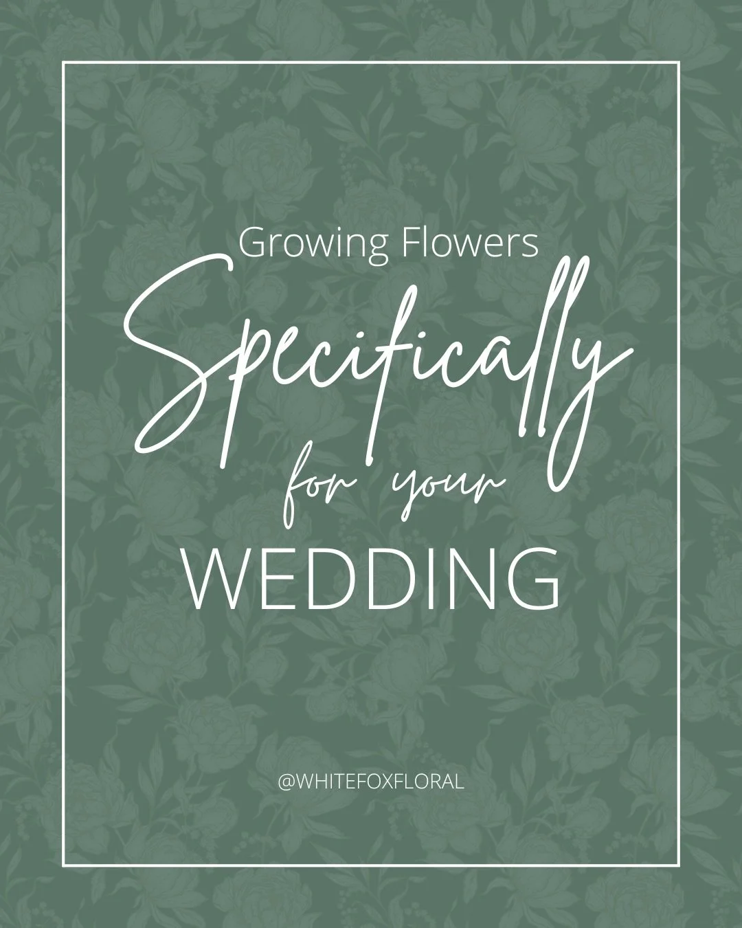What a crazy amazing luxury it is to be able to grow flowers specifically for you wedding day!

Those of you that book before the end of the year will get flower specifically grown on @whitefoxfloralfarm just for your designs!

We are picking out flo