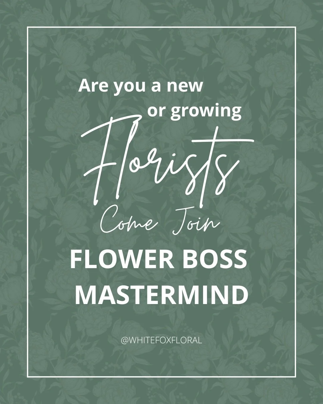 Ready to grow your floral business?

I'm teaching you exactly how to attract your dream clients, book them with confidence, and create the kind of work that gives you complete creative freedom. 

I'm sharing my strategies, systems, and lessons that h