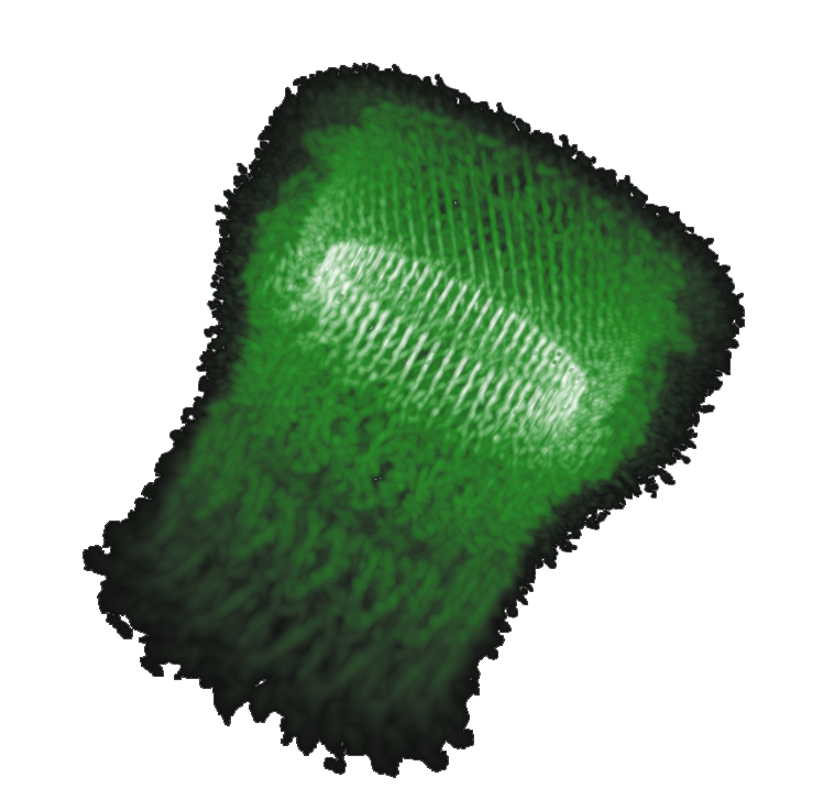 2018.png