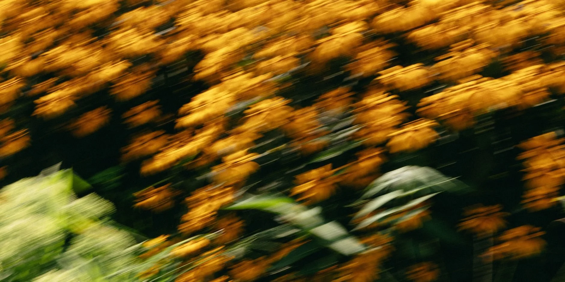 A Tribe for Jazz Launches Sonic Motion—A Bold Interdisciplinary Experience that Bridges Jazz, Electronic Music, Digital Art, and Dance