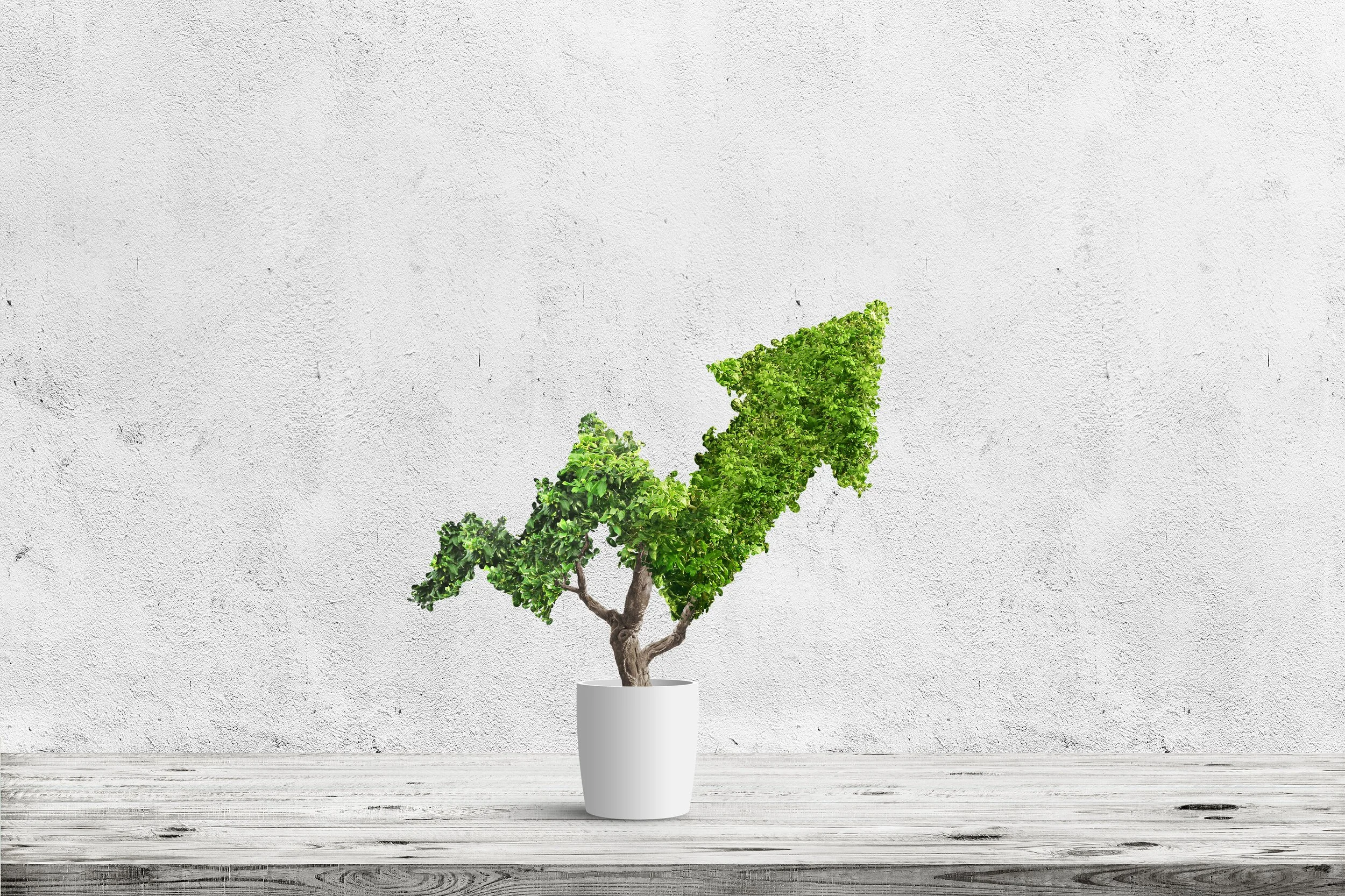 Supersize your Savings: Contribution Limits Jump in 2025