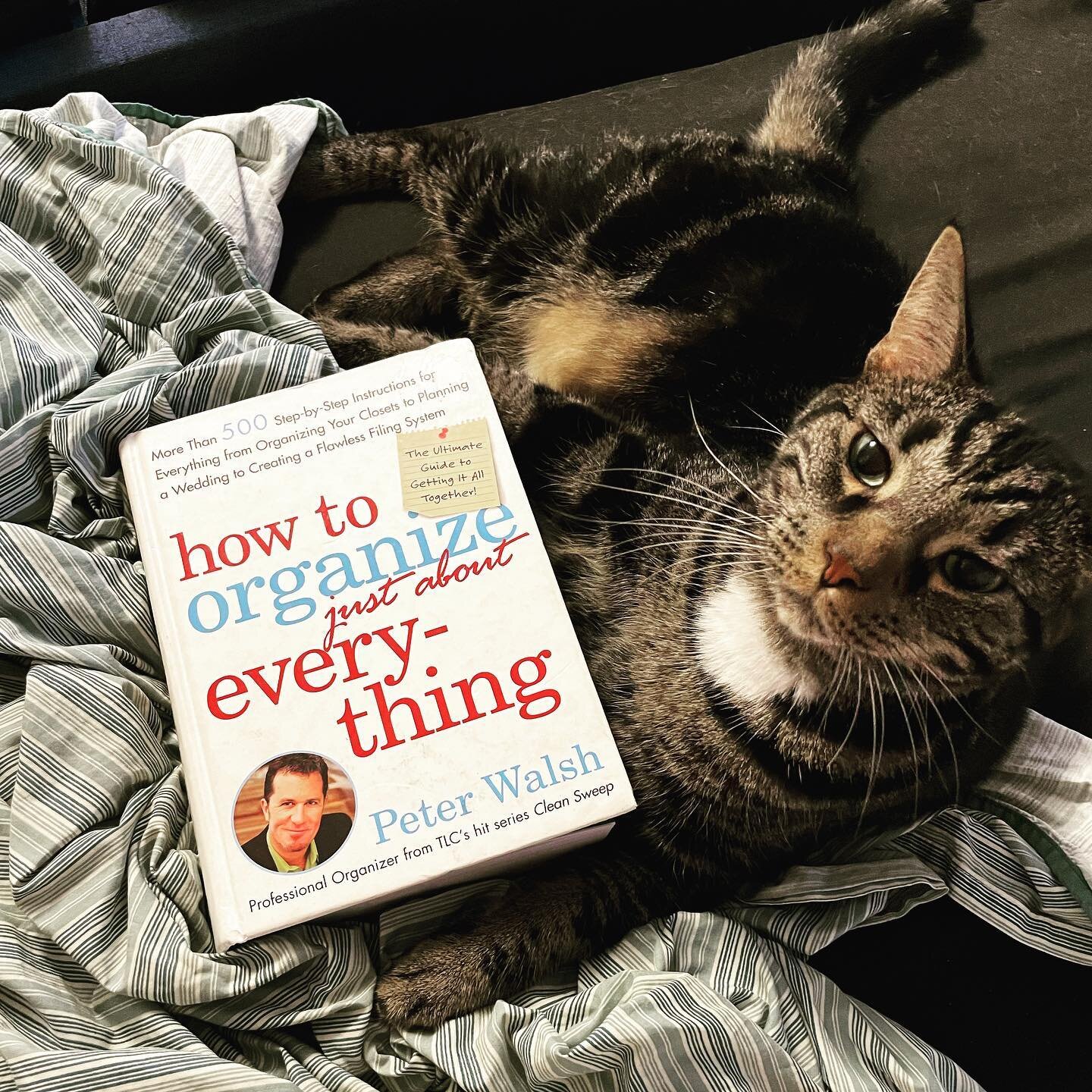 My new favorite book! And one of my favorite cats. It was only FOUR DOLLARS on ThriftBooks.com, my new favorite website :)
#organization #books #cheapbooks #secondhand #peterwalsh #professionalorganizing #cleansweep #howtoorganize #catsofinstagram