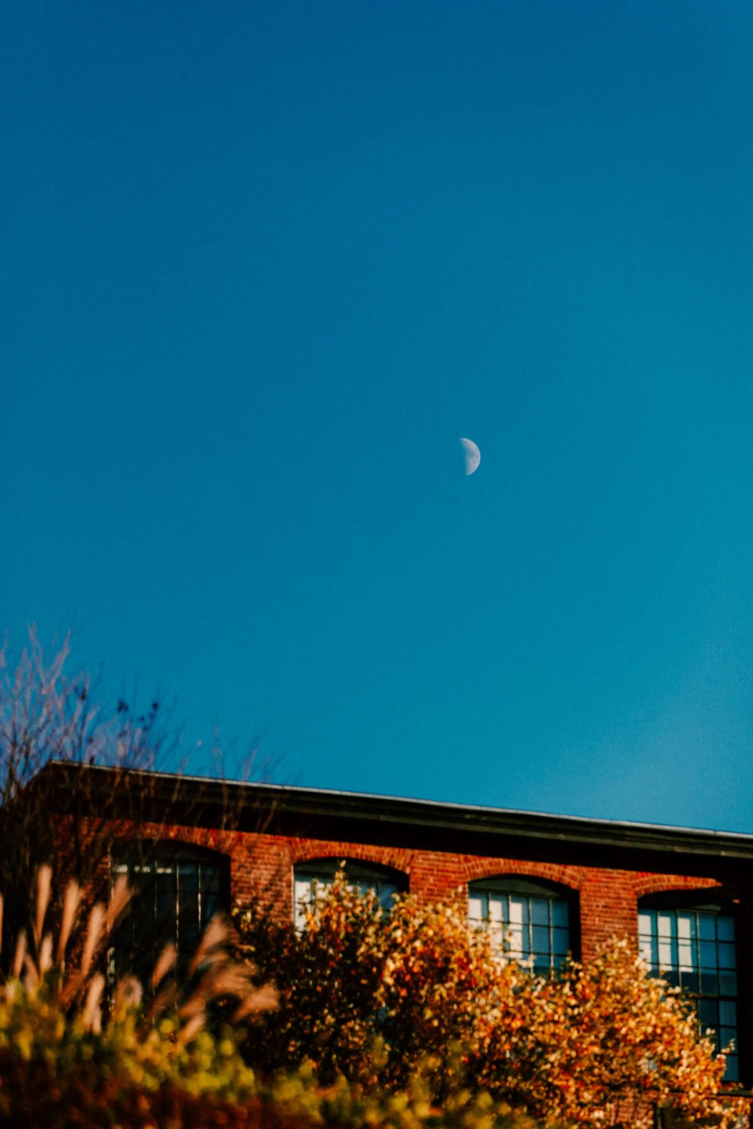 moon in the autumn sky during golden hour for autumn wedding ceremony at the roundhouse
