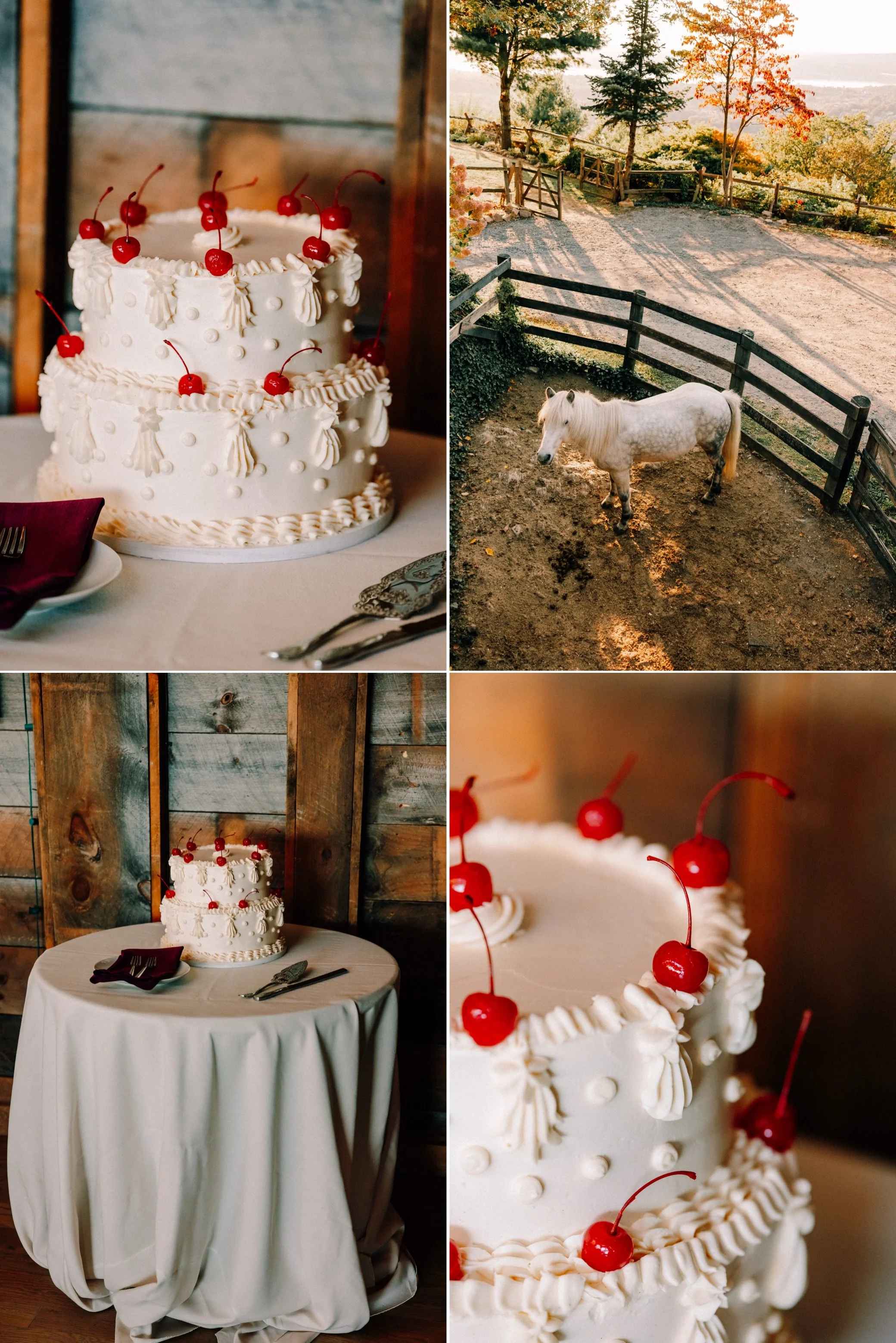 lambs hill wedding reception 