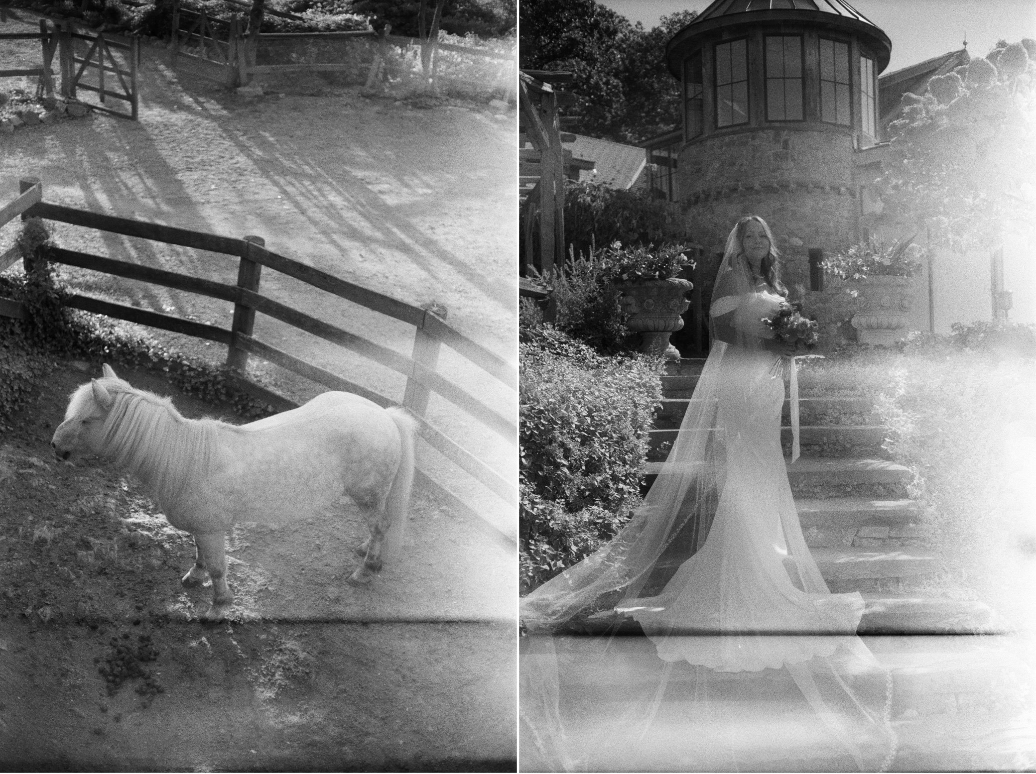 film photographs at lambs hill wedding venue