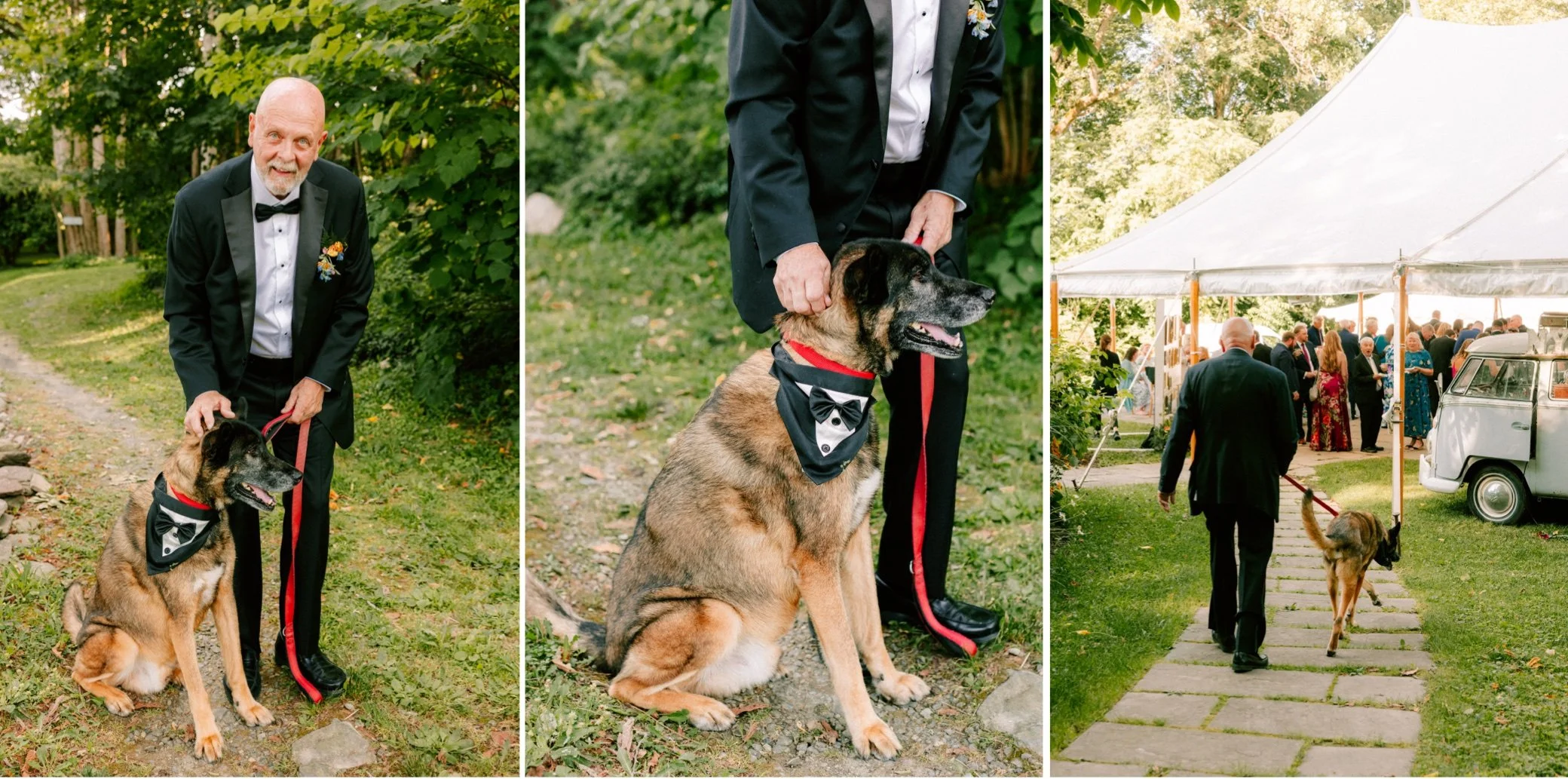  cocktail hour wedding dog buttermilk falls 