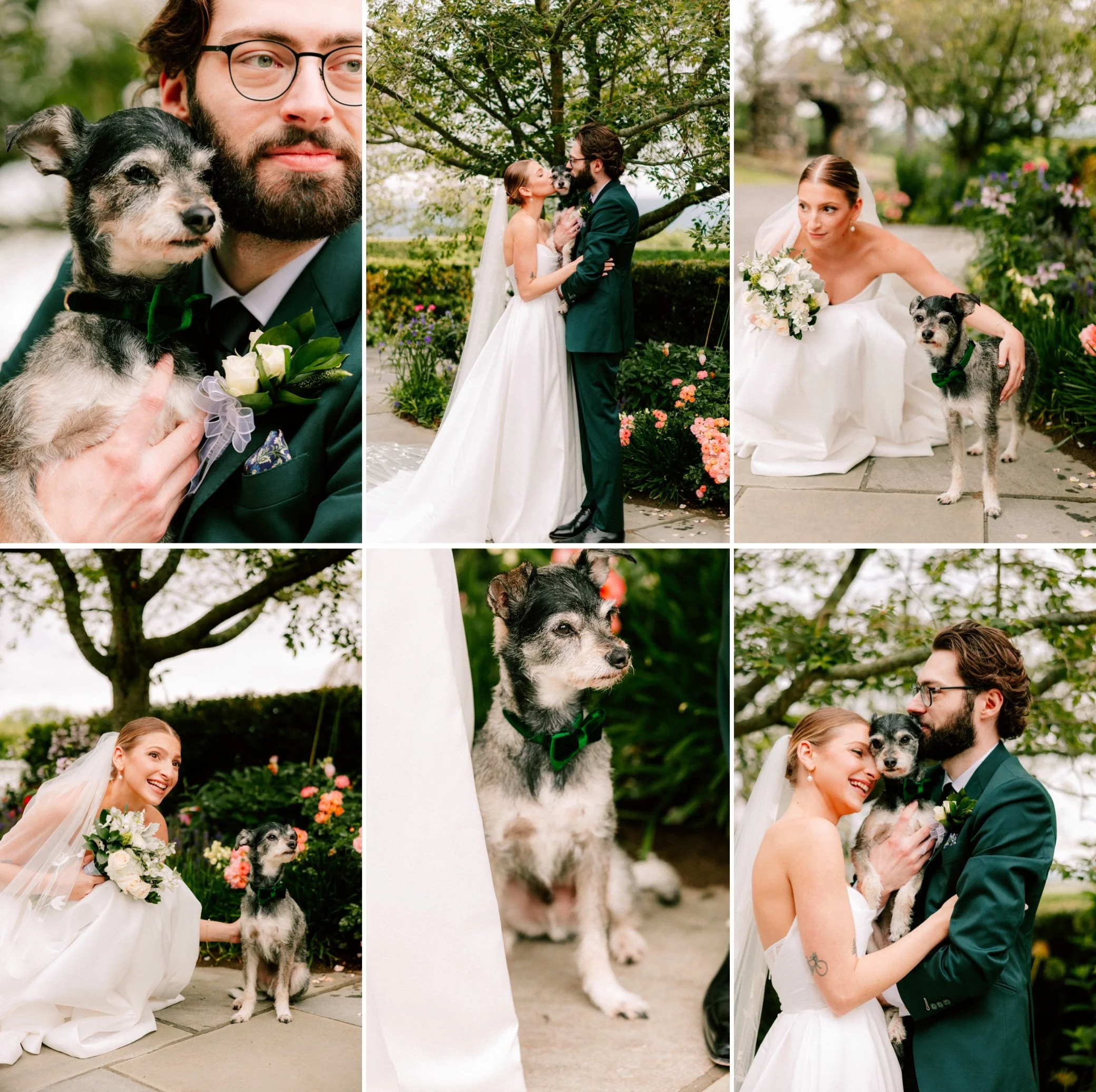  wedding photographs of bride and groom with their dog at the garrison 