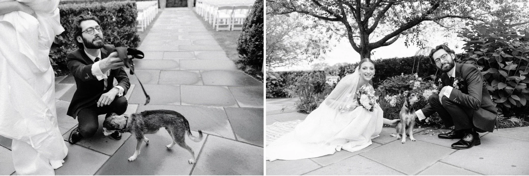  hudson valley documentary wedding photographs of couple with dog at the garrison 