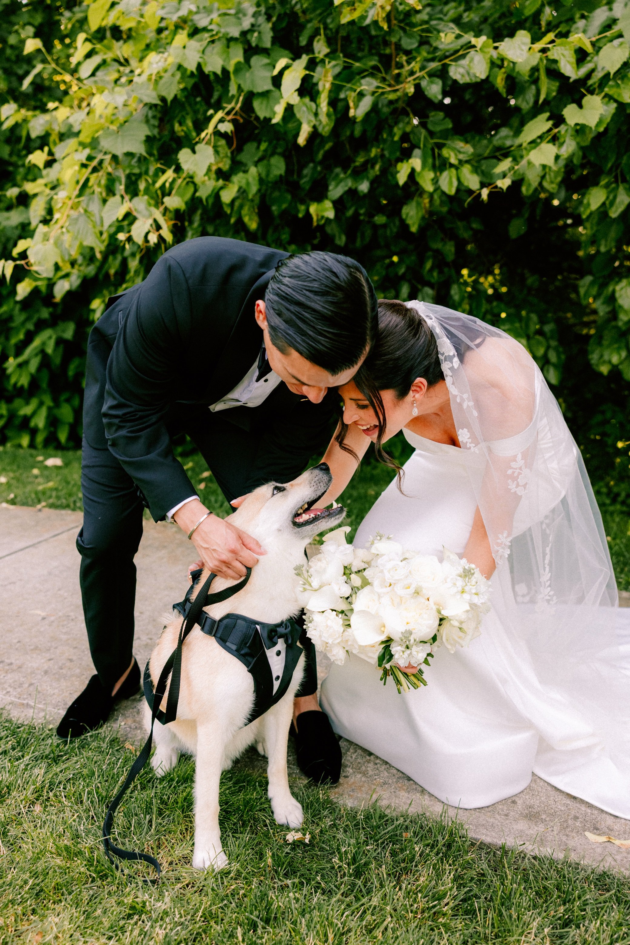  the roundhouse wedding first look with dog 
