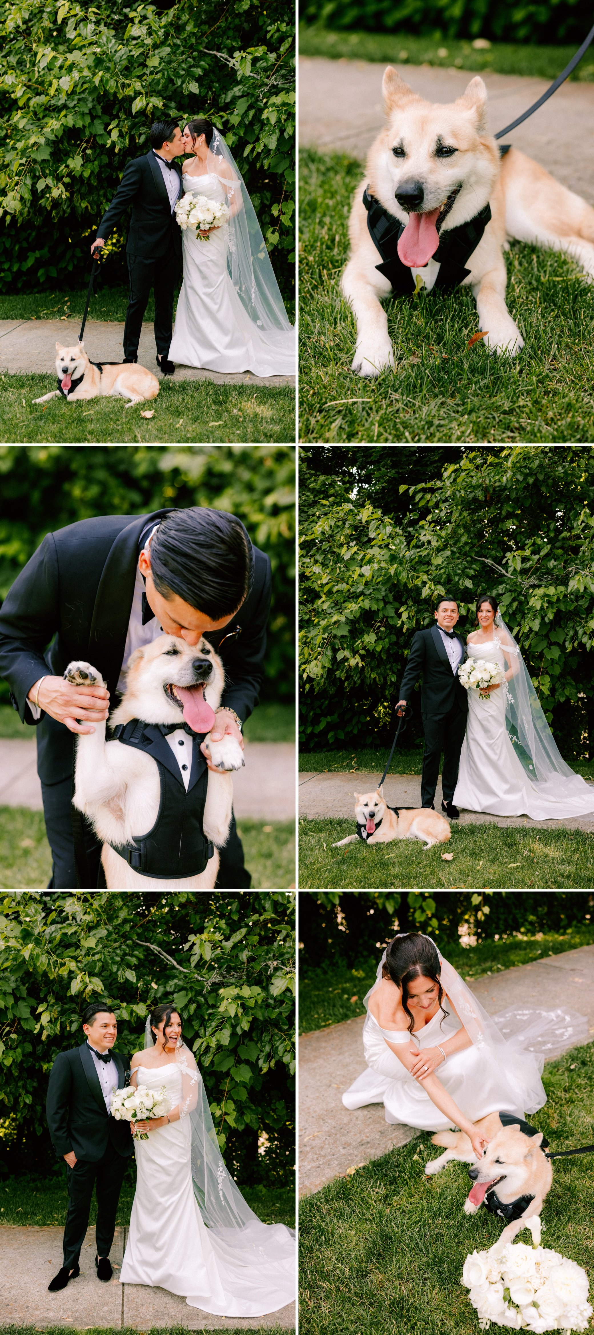  the roundhouse wedding couple photographs with their dog 